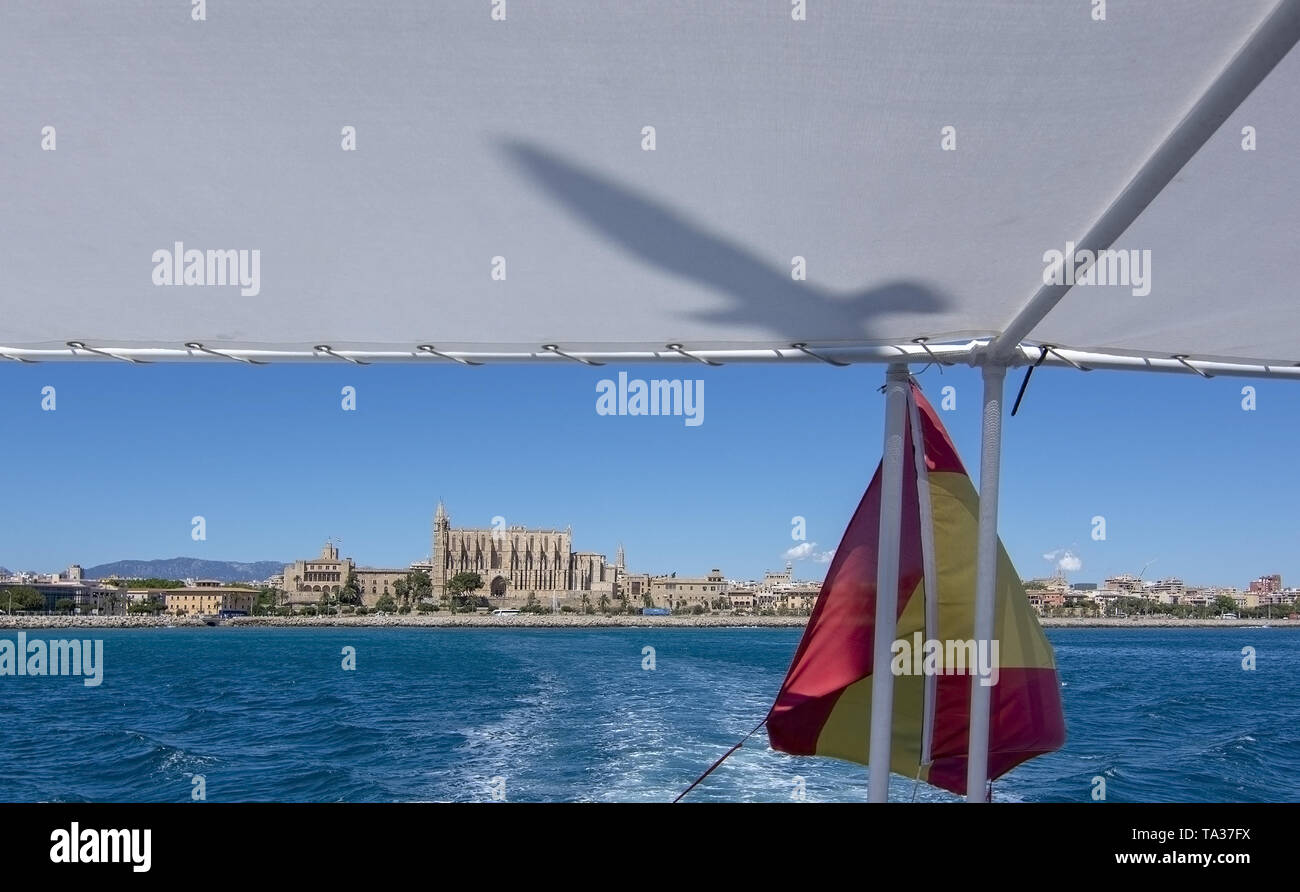 PALMA, MALLORCA, SPAIN - MAY 20, 2019: Palma cathedral La Seu from boat with seagull shadow and Spanish flag on a sunny day on May 20, 2019 in Palma,  Stock Photo