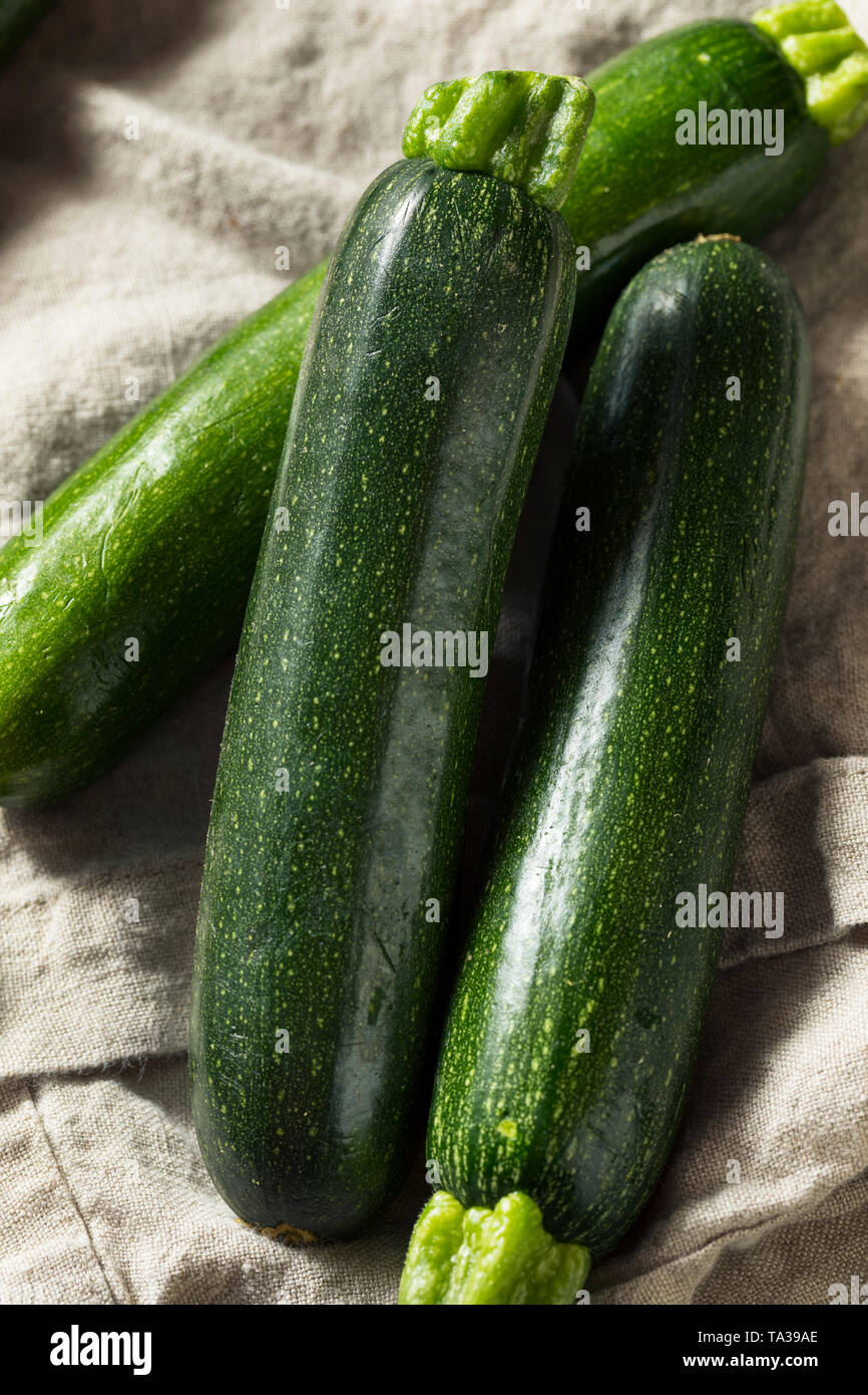 Raw Green Organic Zucchini Squash Ready to Cook Stock Photo