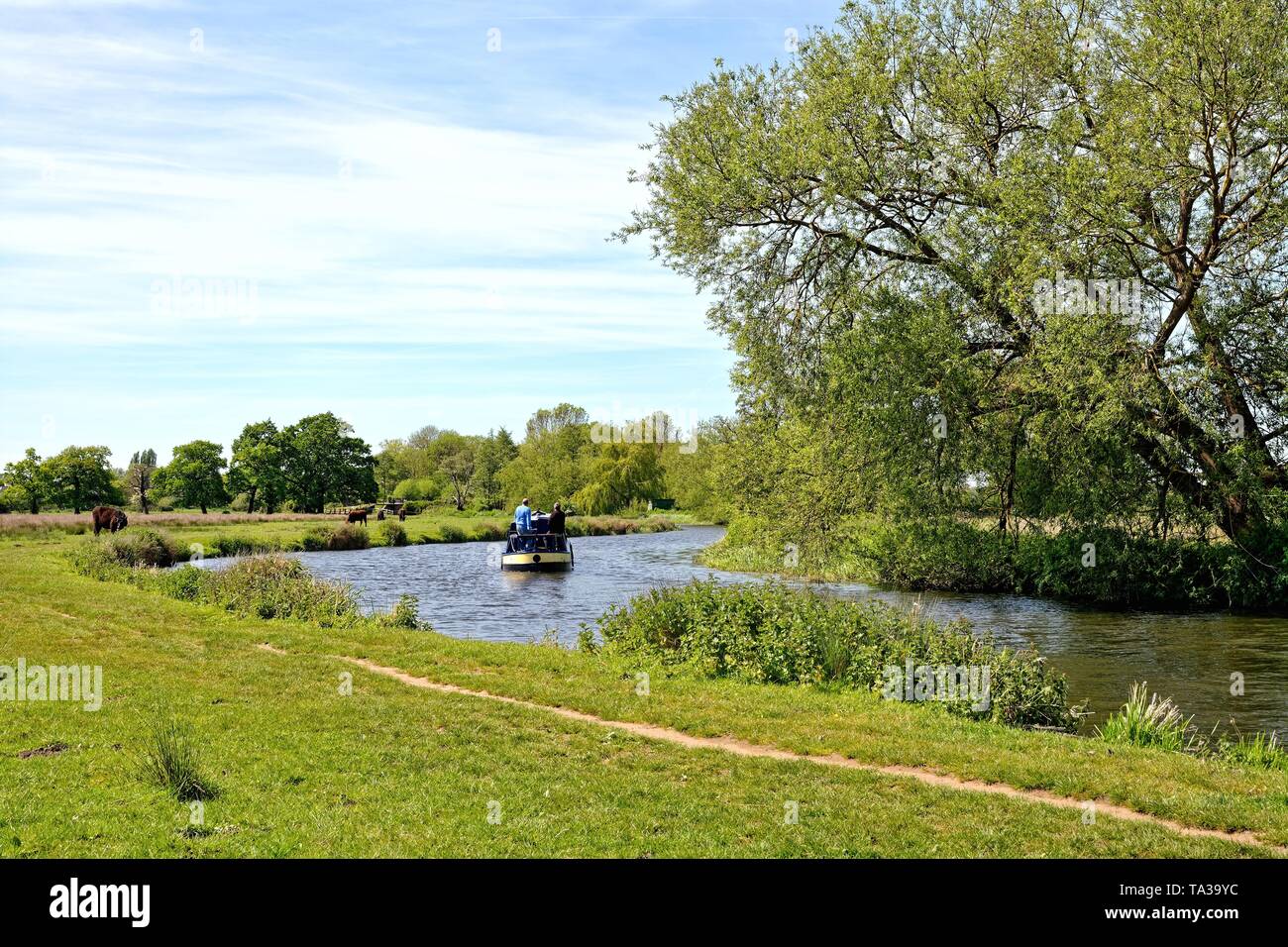 The River Wey Navigation near Ripley with a narrow boat cruising by on a sunny summers day, Surrey England UK Stock Photo
