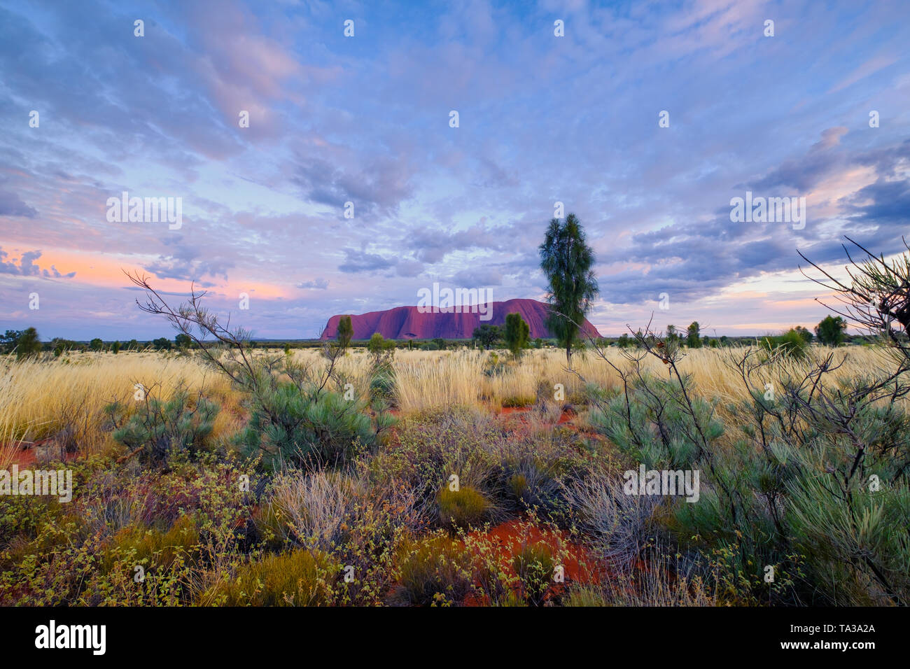 Sunrise at Uluru (Ayer's Rock), Northern Territory, Australia Stock Photo