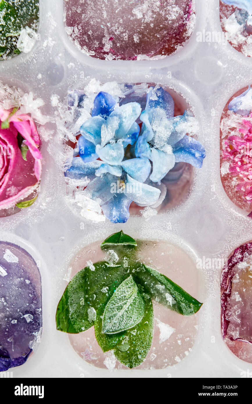 цветы во льду своими руками. кубики льда с зеленью. кубики льда с фруктами. замороженный сок в кубиках. лед с цветами.
