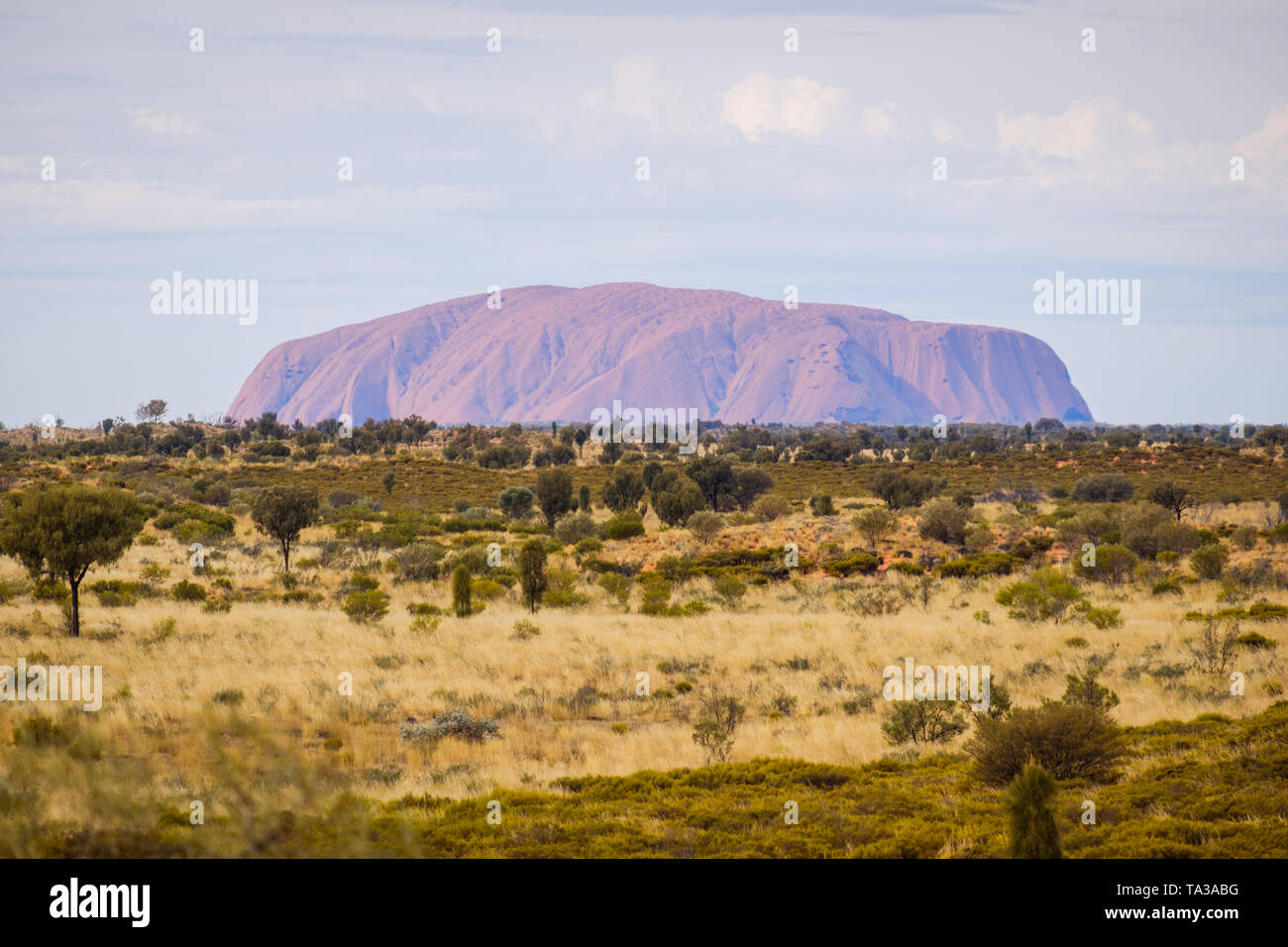 Uluru (Ayer's Rock) as seen from Kata Tjuta (The Olgas), Northern Territory, Australia Stock Photo