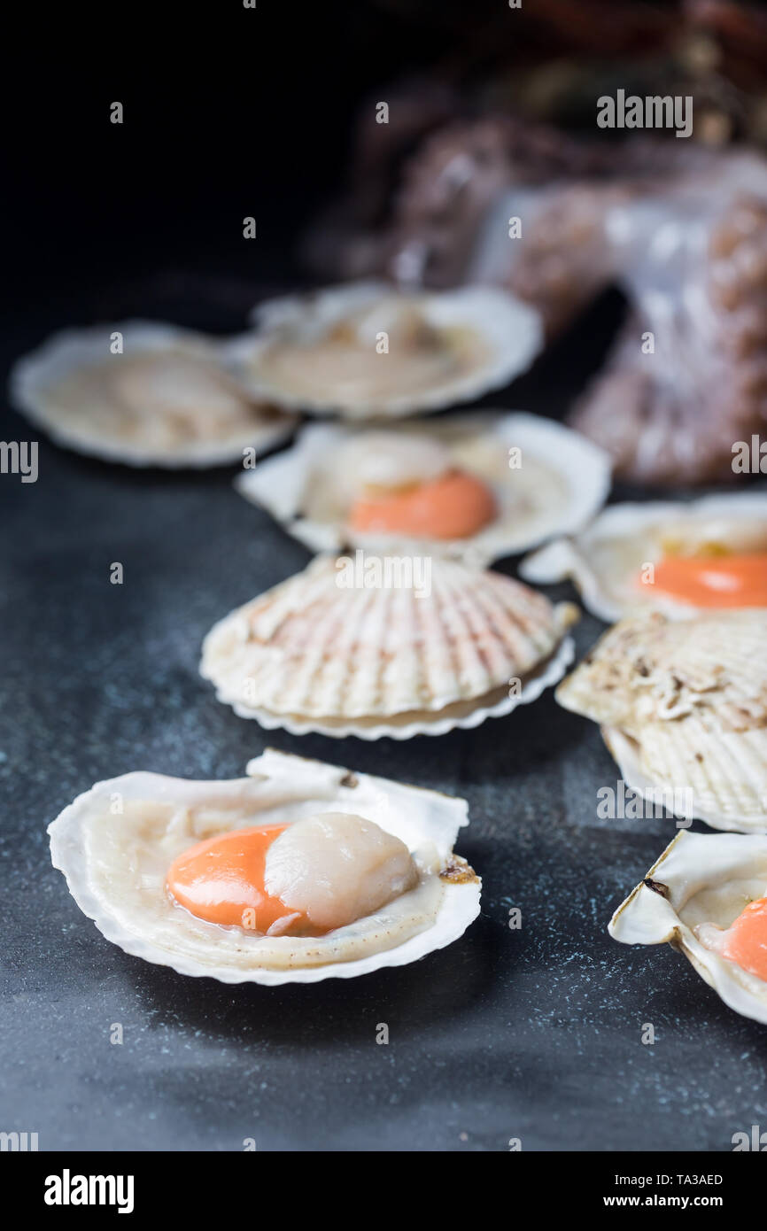 Eating queen scallops hires stock photography and images Alamy