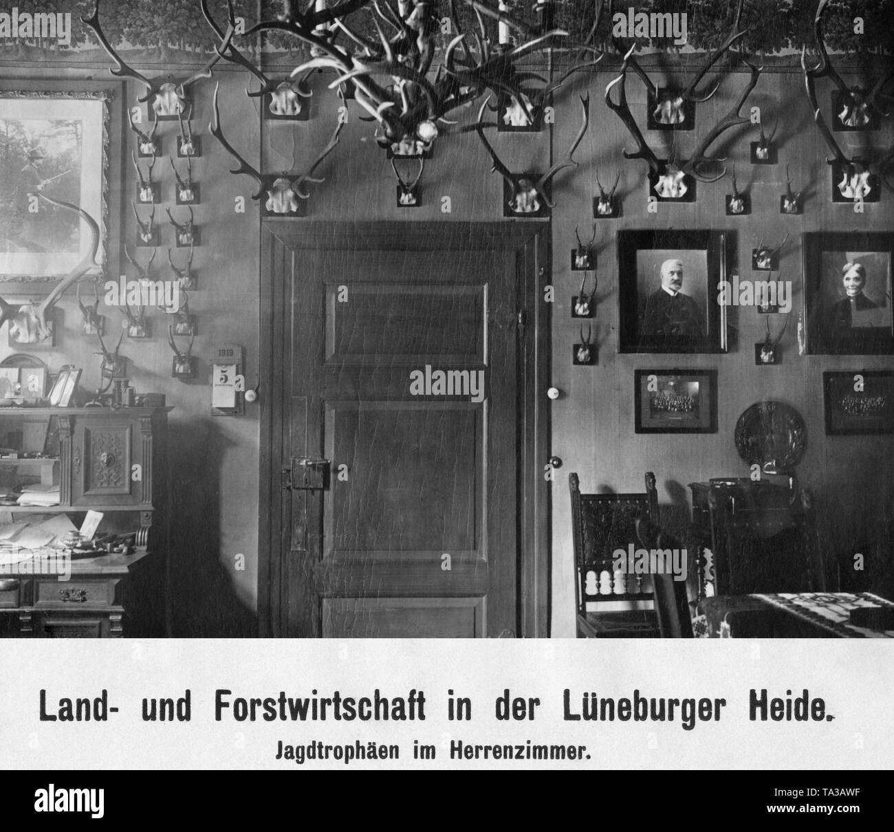 View of the study of a hunter in the Lueneburg Heath. On the wall are numerous trophies of red and roebuck. Stock Photo