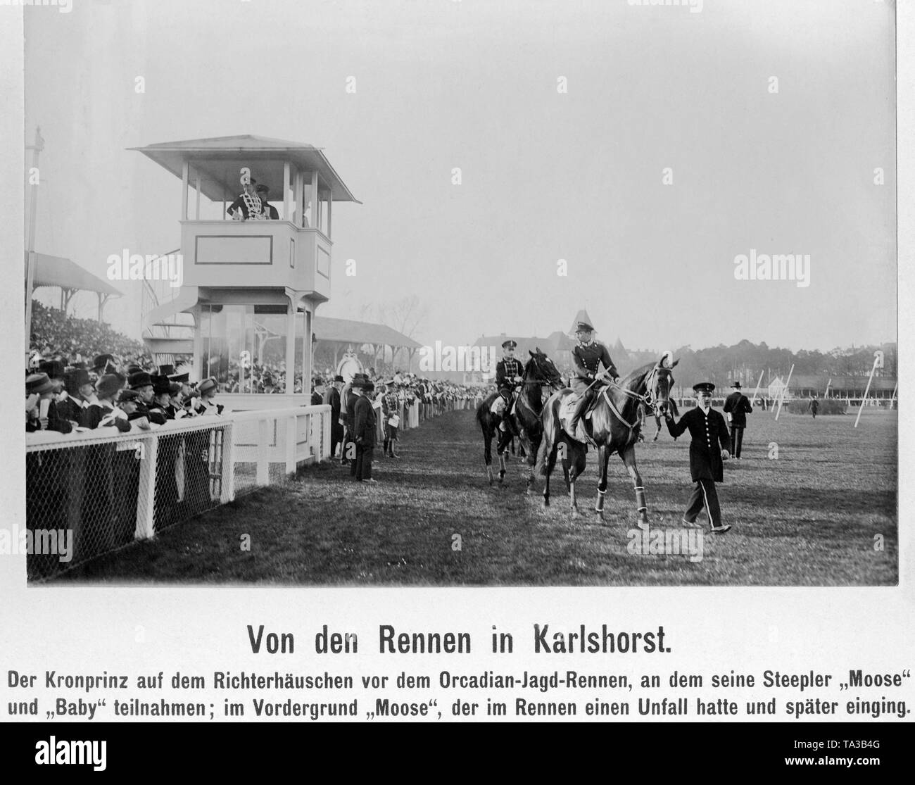 Crown Prince Wilhelm in the uniform of the Totenkopfhusaren (1st Leibhusaren Regiment No. 1 from Danzig) in a judge's box before the race. It was an Orcadian hunting race (obstacle race), in which participated two horses of the Crown Prince, 'Moose' and 'Baby' . In front held by the reins is 'Moose', who suffered a serious accident in the race. Stock Photo