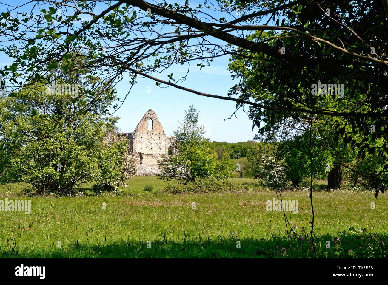 The ruins of Newark Abbey, an Augustinian priory near Ripley and