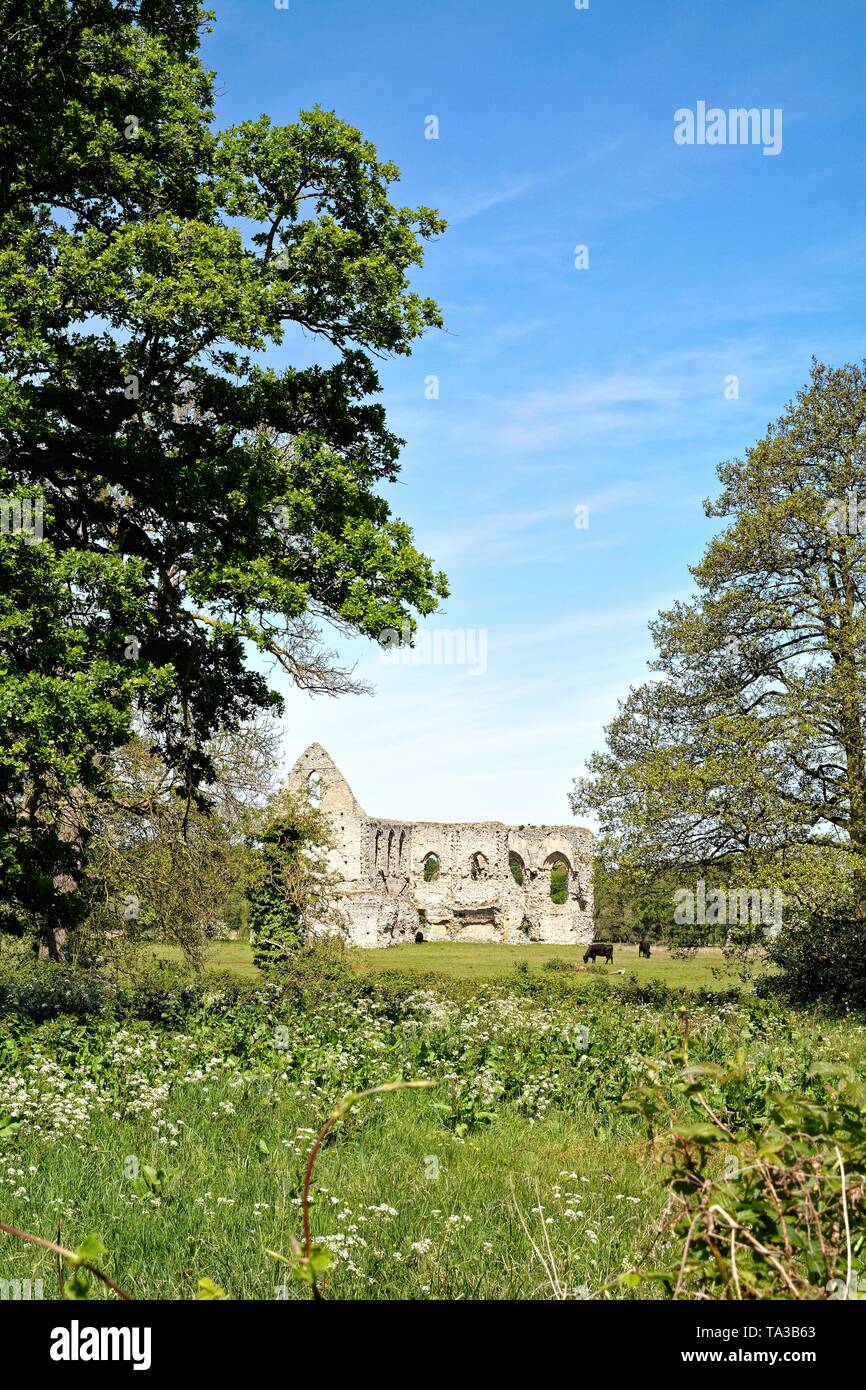 The ruins of Newark Abbey, an Augustinian priory near Ripley and