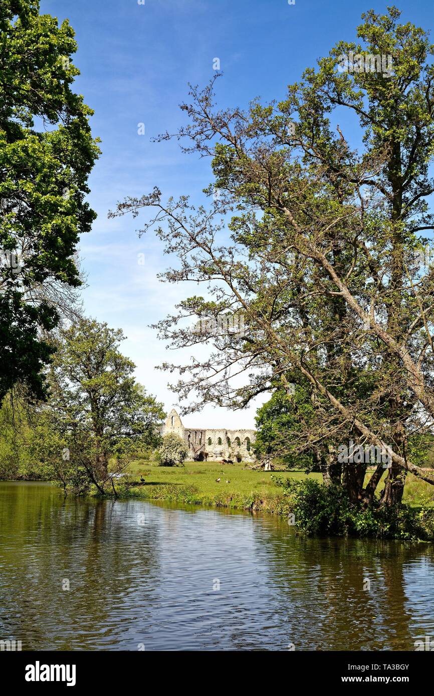 The ruins of Newark Abbey, an Augustinian priory near Ripley and