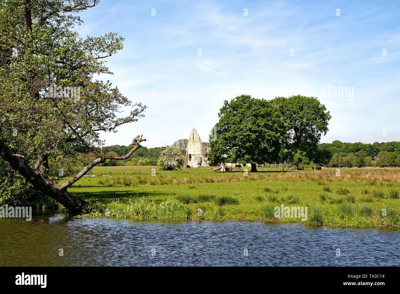 The ruins of Newark Abbey, an Augustinian priory near Ripley and