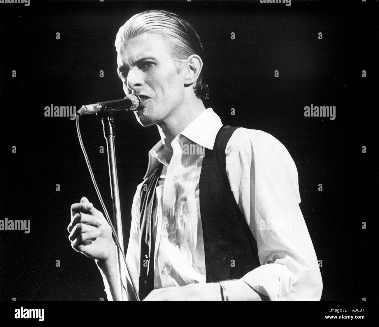 May 13, Rotterdam, Ahoy, Netherlands. David Bowie live during Thin White  Duke tour, 1976, (Photo Gijsbert Hanekroot Stock Photo - Alamy