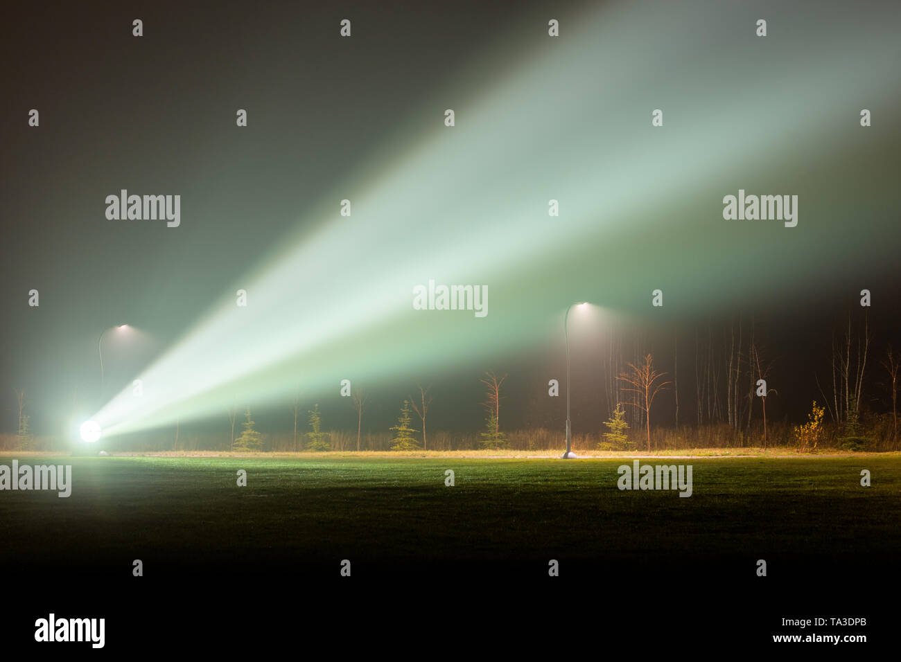 big backlight projector or spotlight in foggy night park with huge light  beam at summer Stock Photo - Alamy