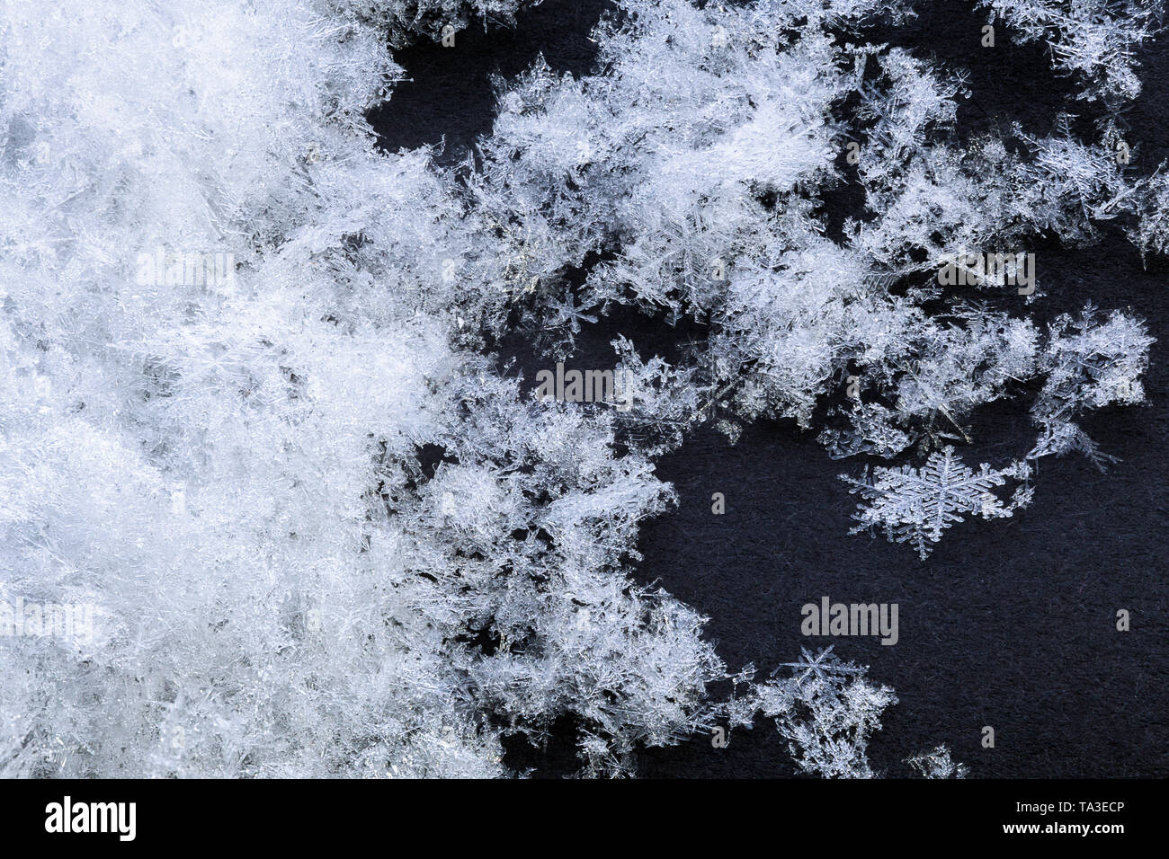 snow array with high magnification winter background Stock Photo
