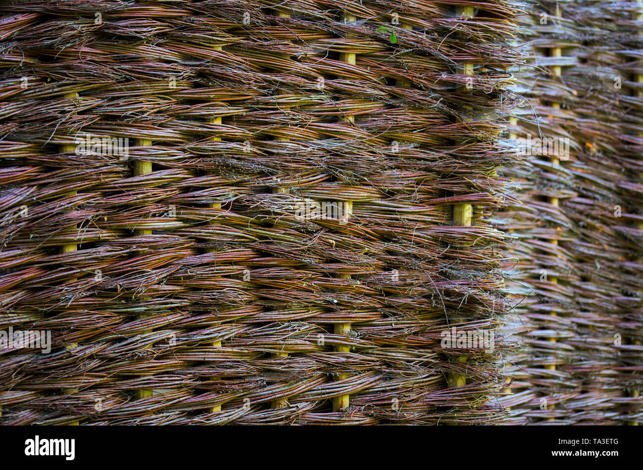 wicker willow flat outdoor surface background with selective focus Stock Photo