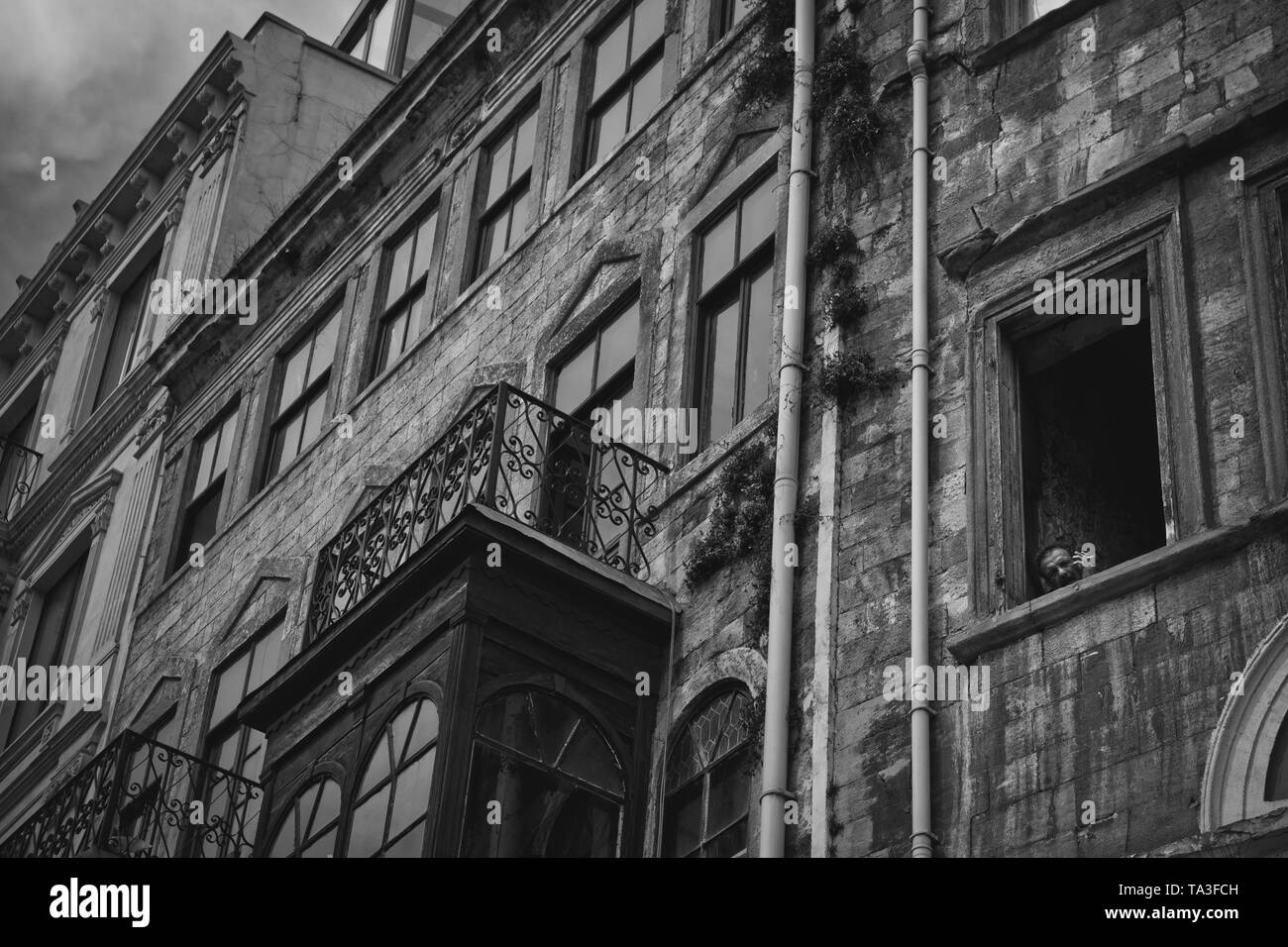 Window peeping 8 Telegraph