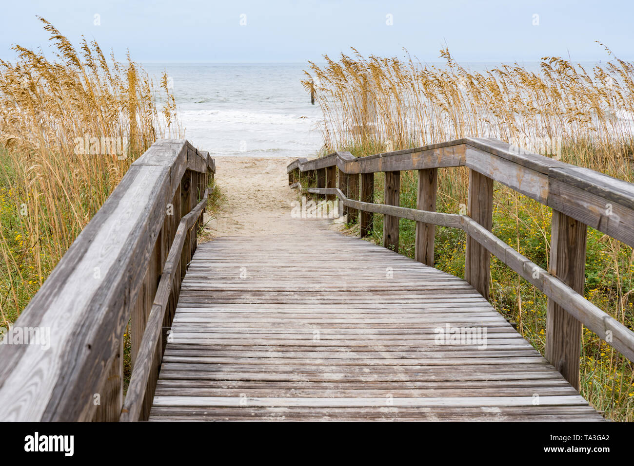 Boardwalk over a sand dune in Myrtle Beach, South Carolina Stock Photo