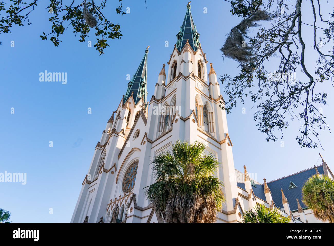 Cathedral of St John the Baptist in Savannah, Georgia Stock Photo - Alamy