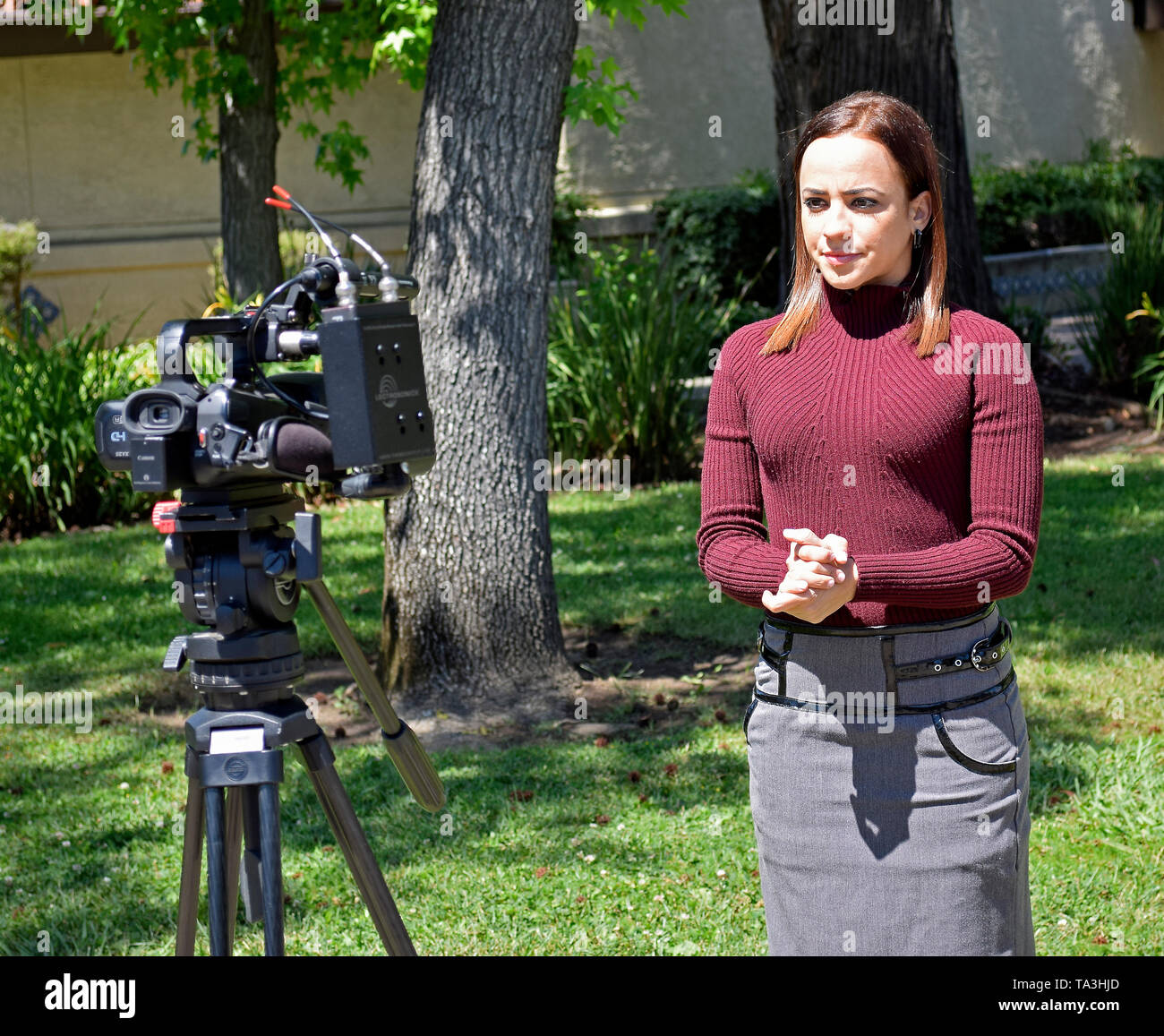 Univision's San Francisco channel 14 reporter covering a news story in Union City California Stock Photo