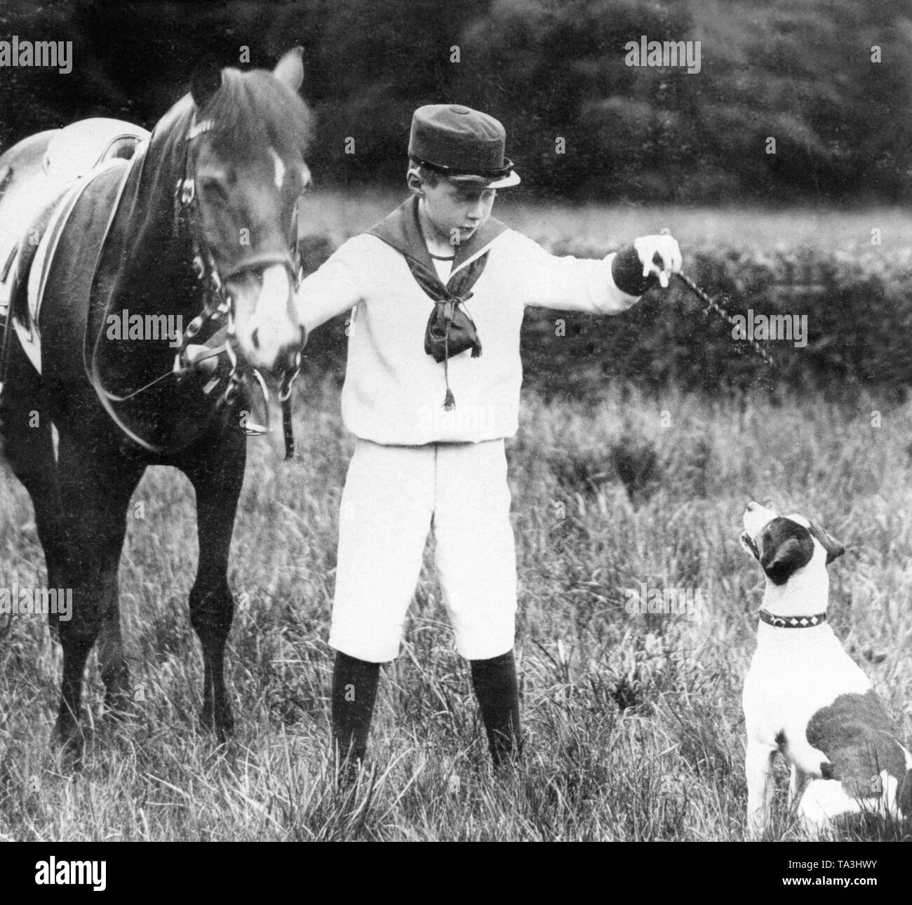 Crown Prince Wilhelm during an outing. With his right hand he holds his pony by the reins, with the left he gives his dog a treat. Stock Photo