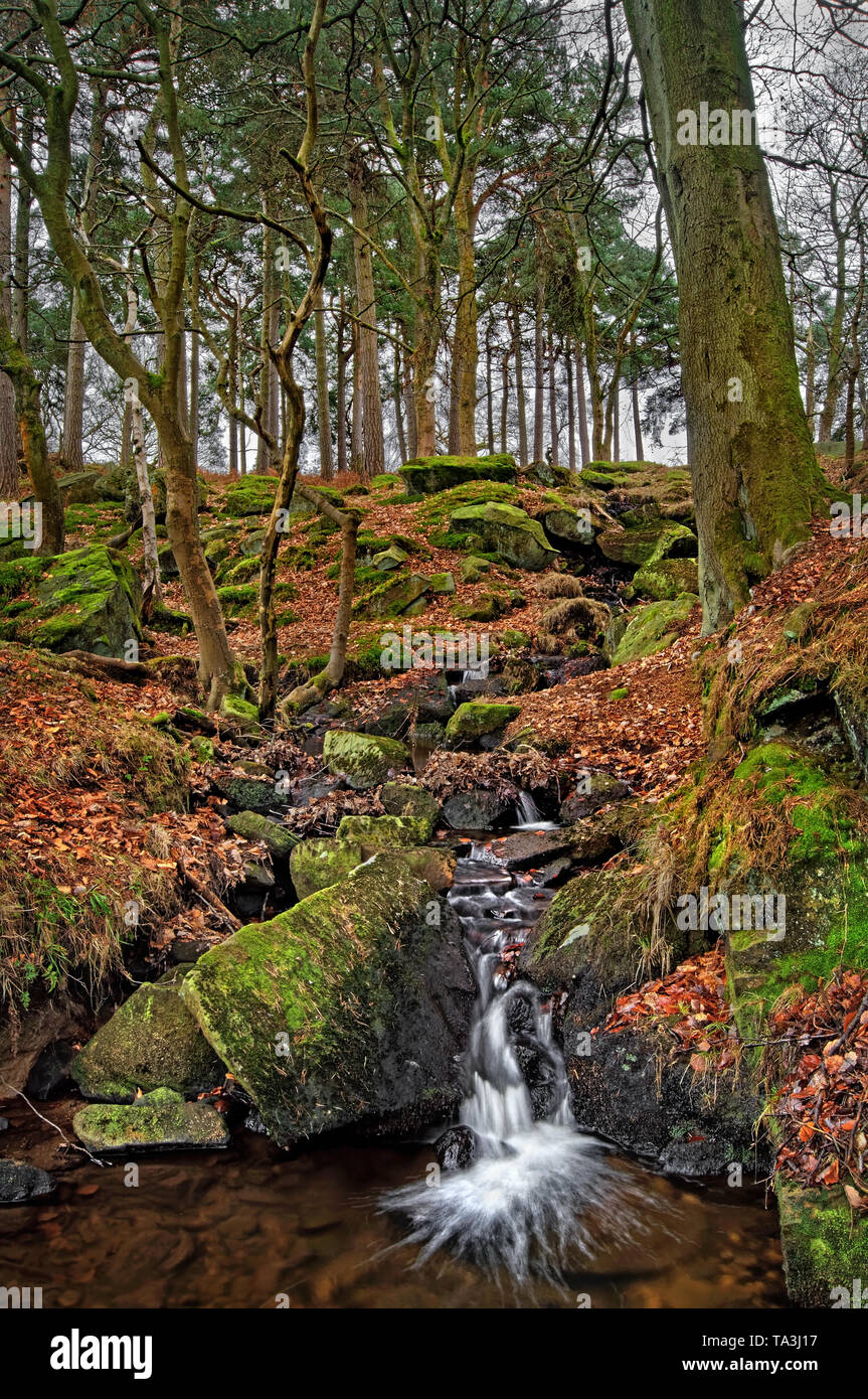 UK,Derbyshire,Peak District,Longshaw Waterfalls Stock Photo