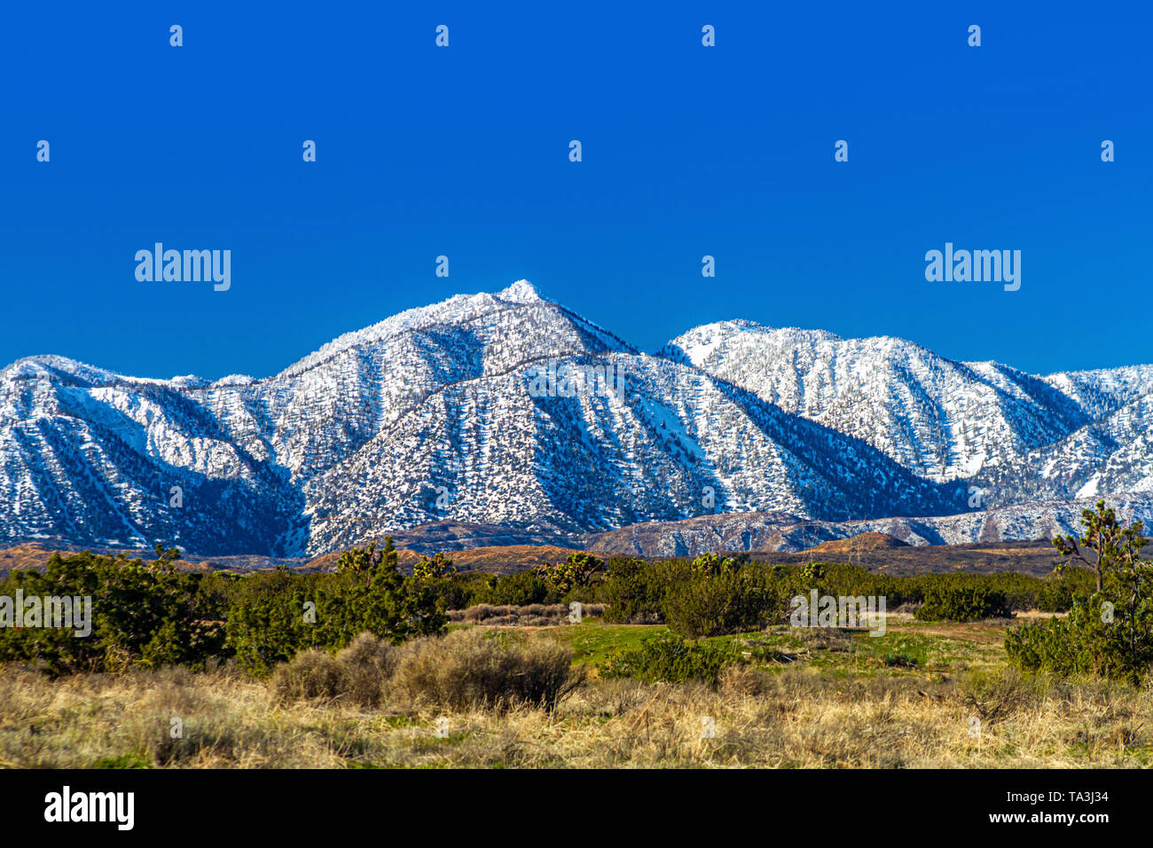 Snow on the northern side of the San Gabriel Mountains in Southern California Stock Photo