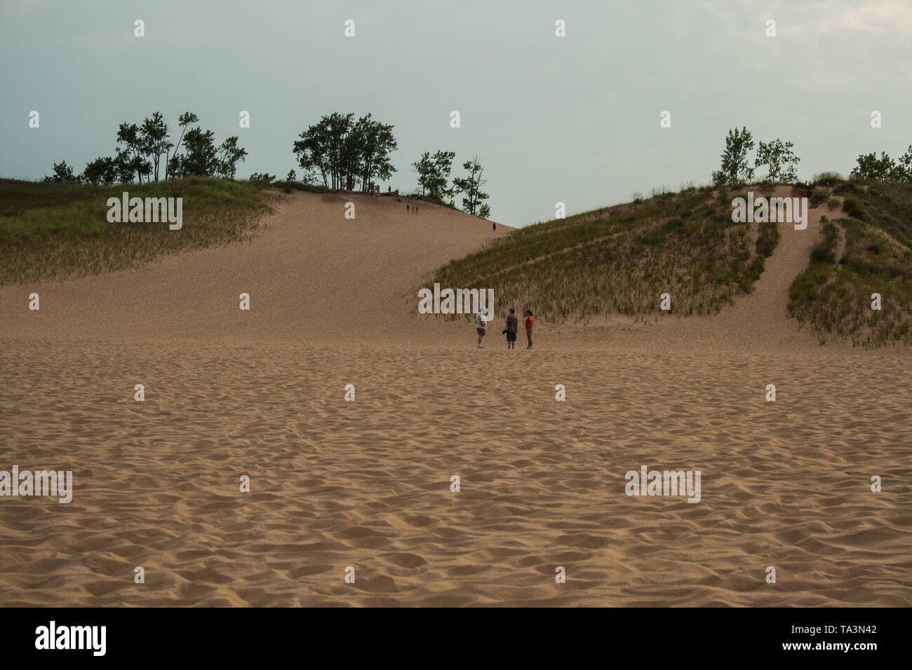 Dune Climb, Sleeping Bear Dunes National Lakeshore, Michigan Stock