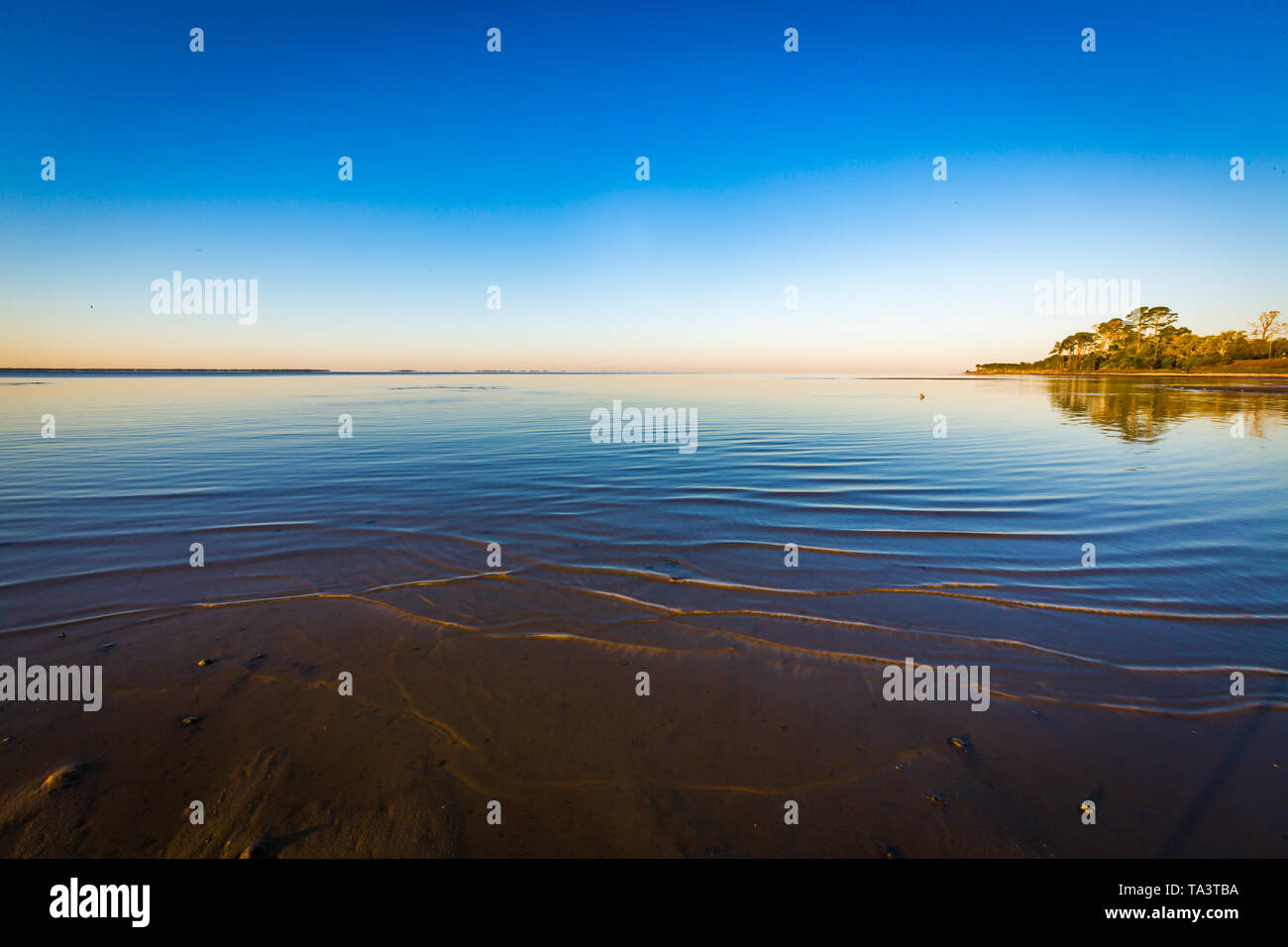 Tide is out on beach near Apalachicola Stock Photo Alamy