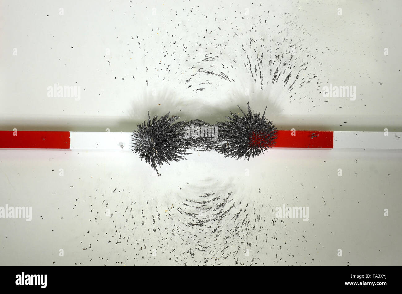 The lines of forces around two magnets with merging and cooperating magnetic fields visualized with iron chips spread on a glass plate that rests on t Stock Photo