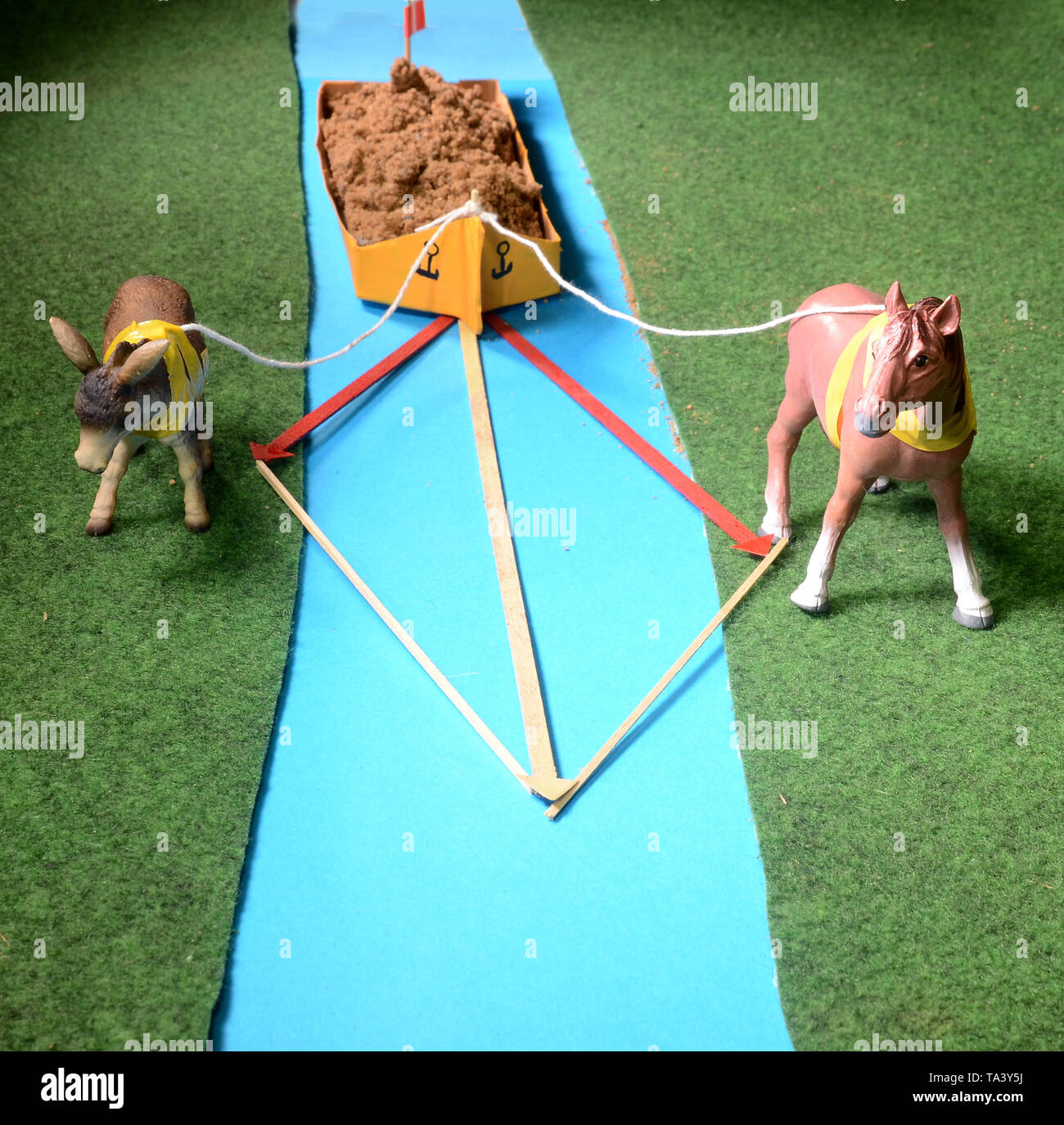 Model arrangement with two animals lowing a boat on a channel, and colored arrows that illustrate how the paralellogram of forces works. Stock Photo