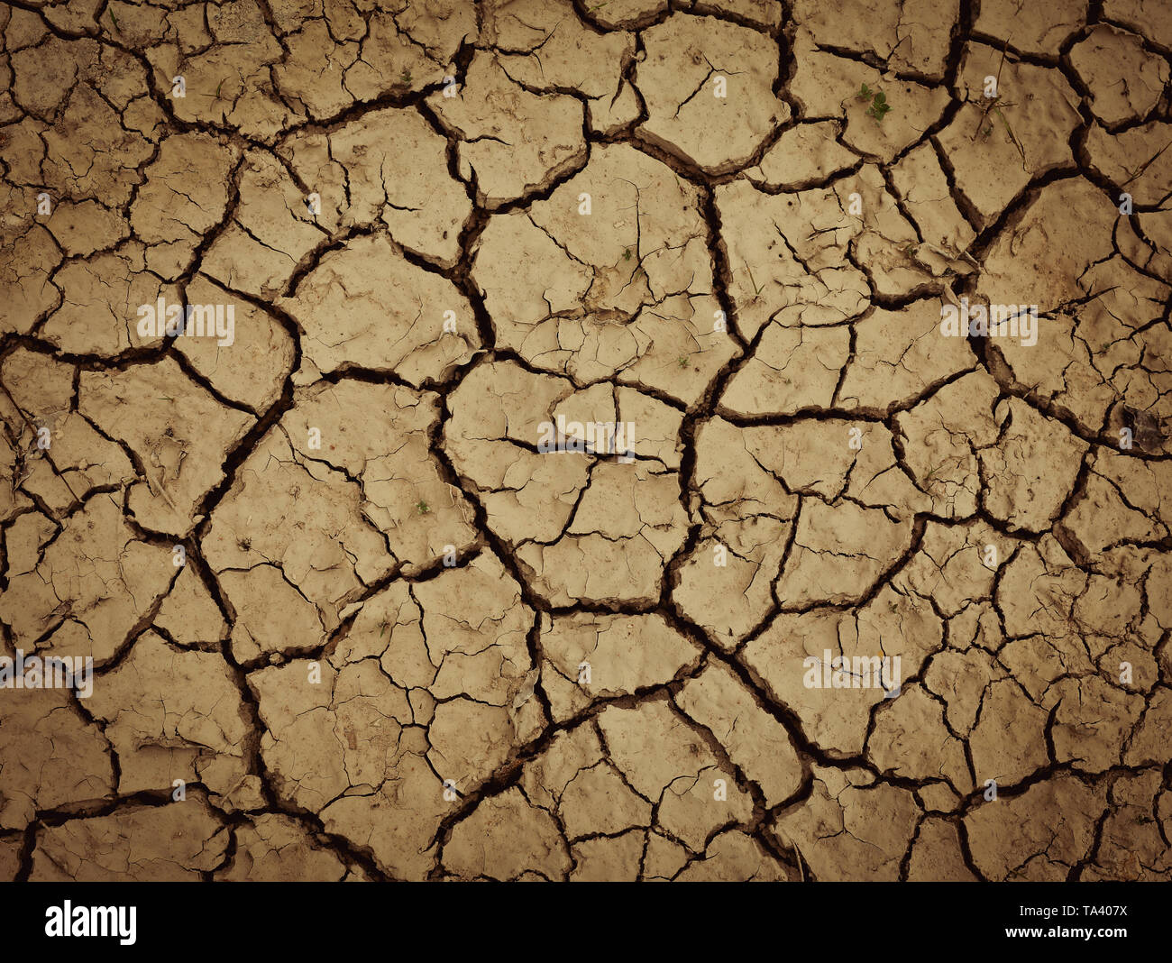Land with dry and cracked ground. Global warming background Stock Photo ...