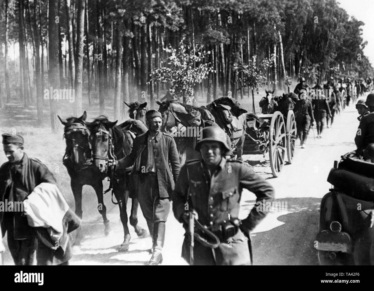 French soldiers captured during the fighting around Dunkirk are taken in captivity with their carts and horses. In front, a German sentinel. Stock Photo