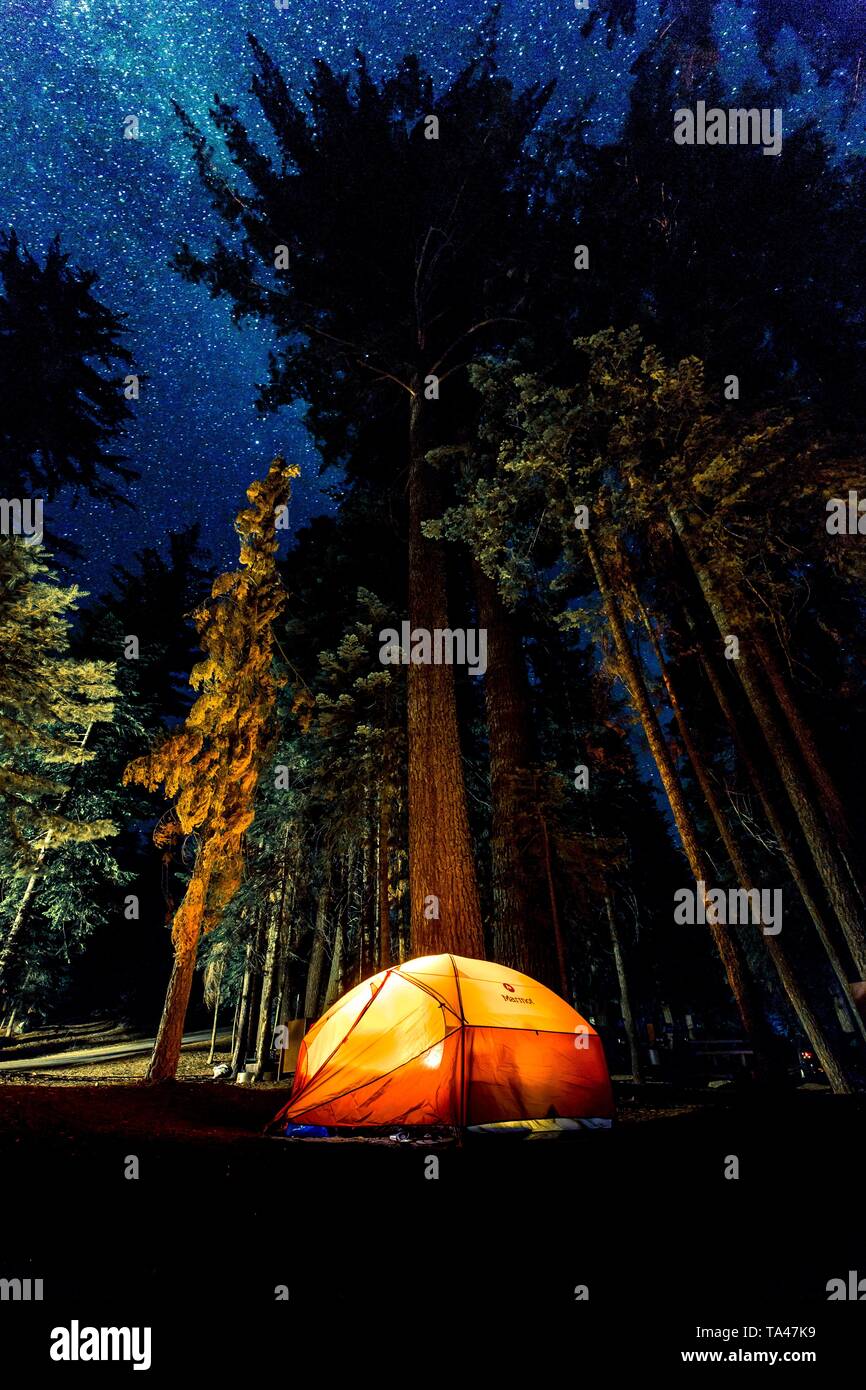 Lit-up tent in a forest Stock Photo - Alamy