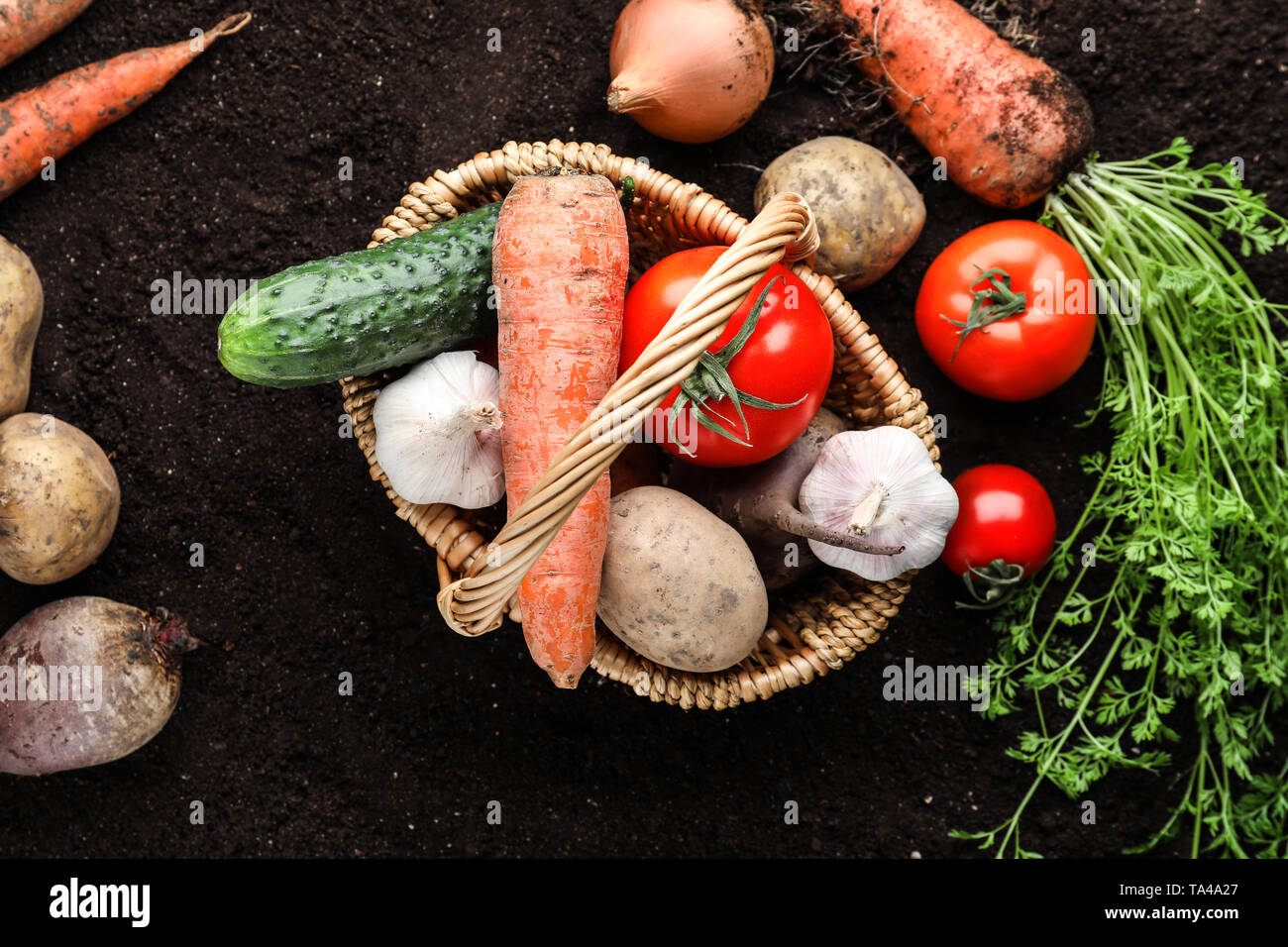 Onion soil basket hi-res stock photography and images - Alamy