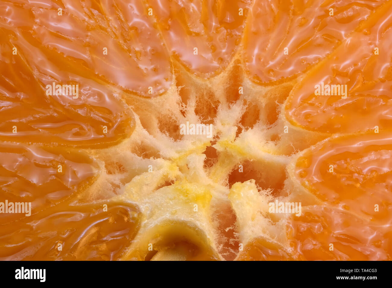 Sliced mandarin close-up full frame macro photo with great depth of field citrus background Stock Photo