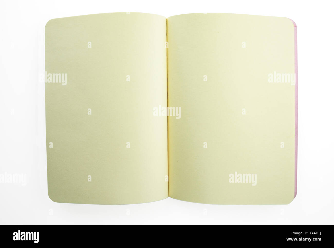Opened notebook with blank pages on white background Stock Photo