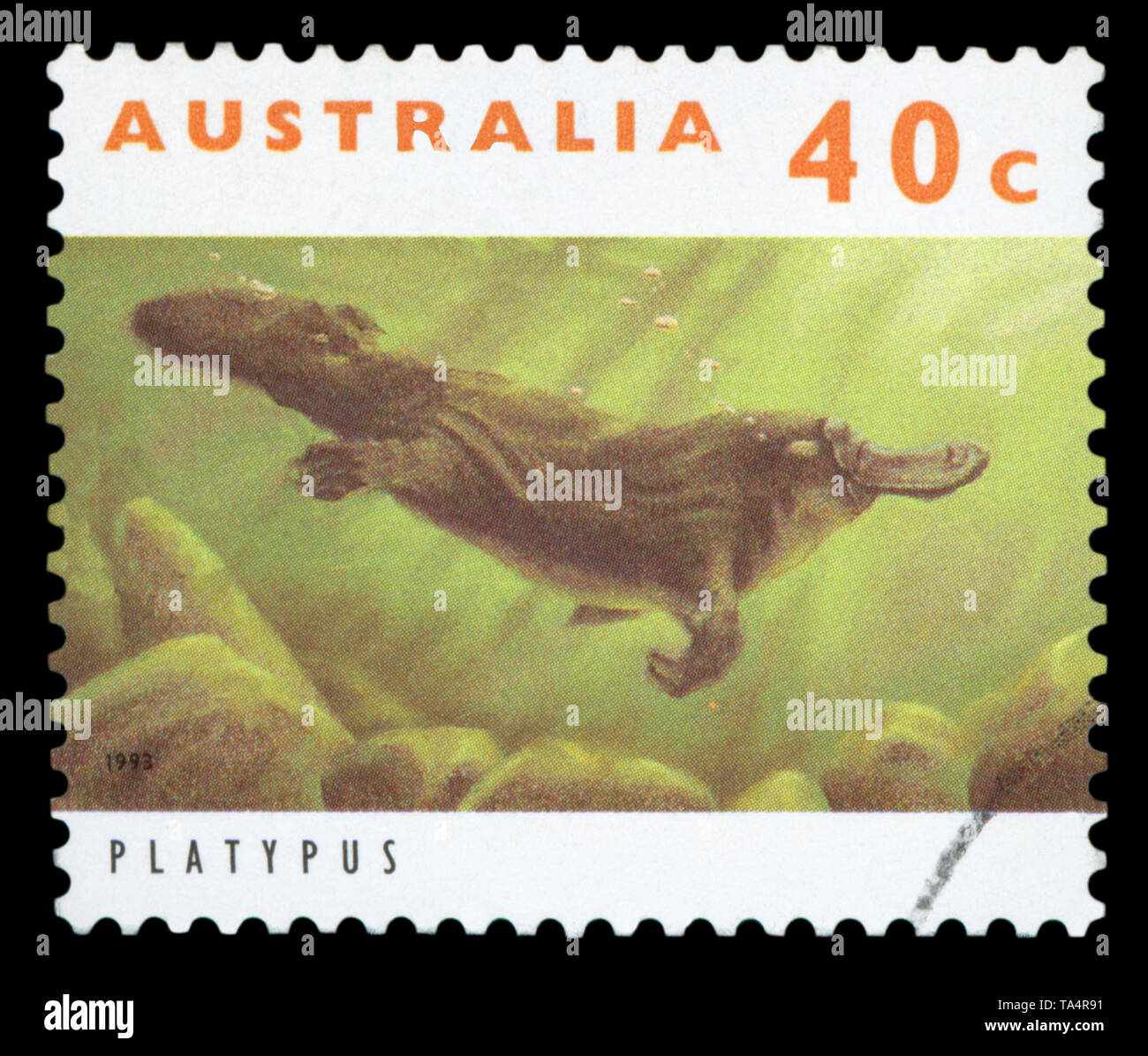 AUSTRALIA - CIRCA 1993: A Stamp printed in AUSTRALIA shows the Platypus, Animals series, circa 1993. Stock Photo