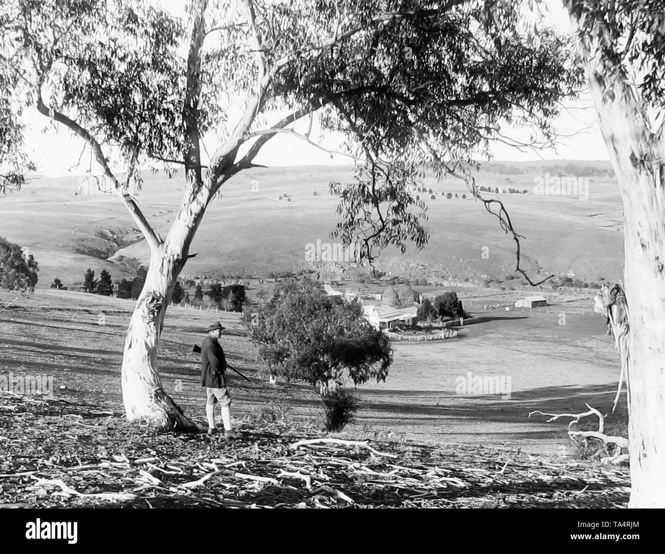 Homestead Black and White Stock Photos & Images Alamy
