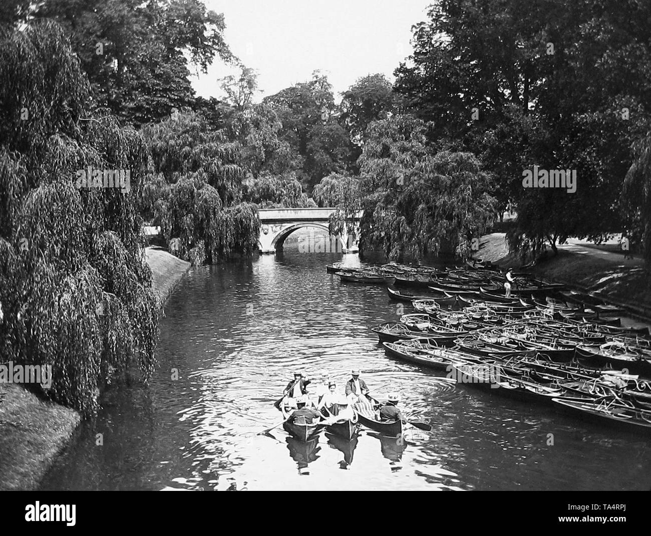 Rowing boats, Trinity Bridge Cambridge Stock Photo Alamy