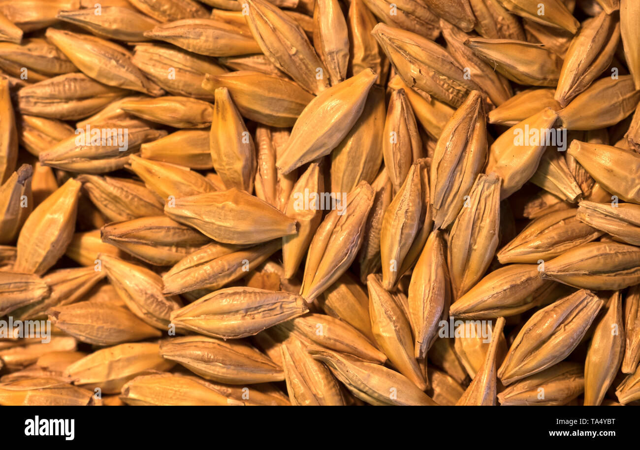Whole grains pulses hires stock photography and images Alamy