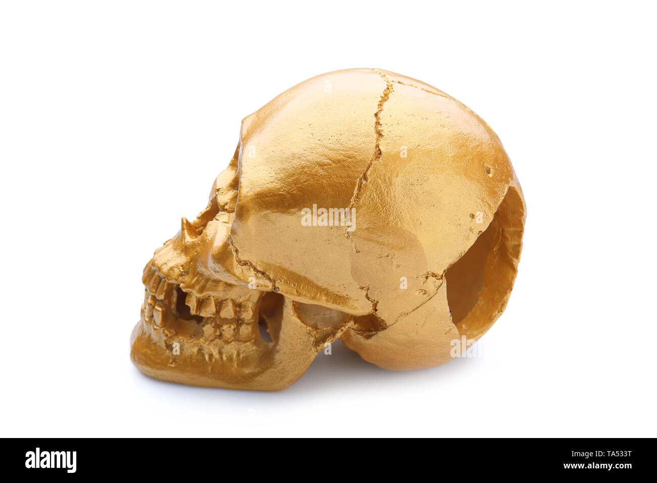 Golden human skull on white background Stock Photo