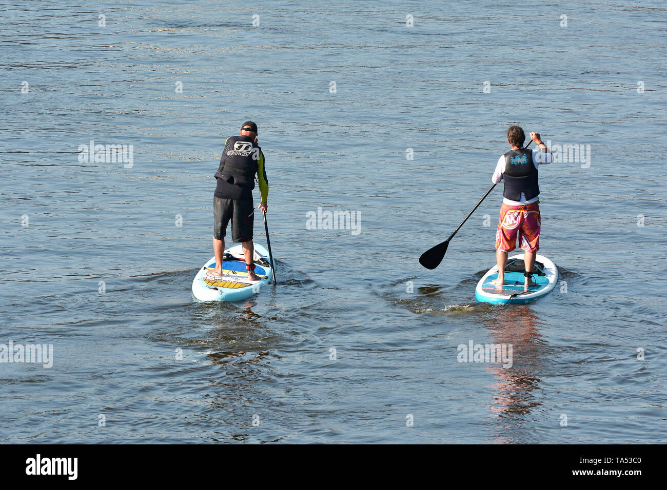 Stand up paddling on the river Elbe near Magdeburg Stock Photo