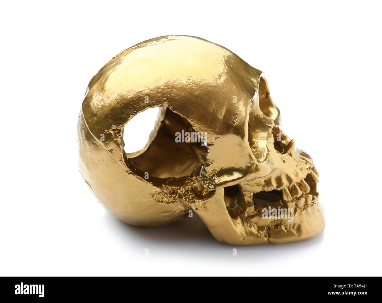 Golden human skull on white background Stock Photo