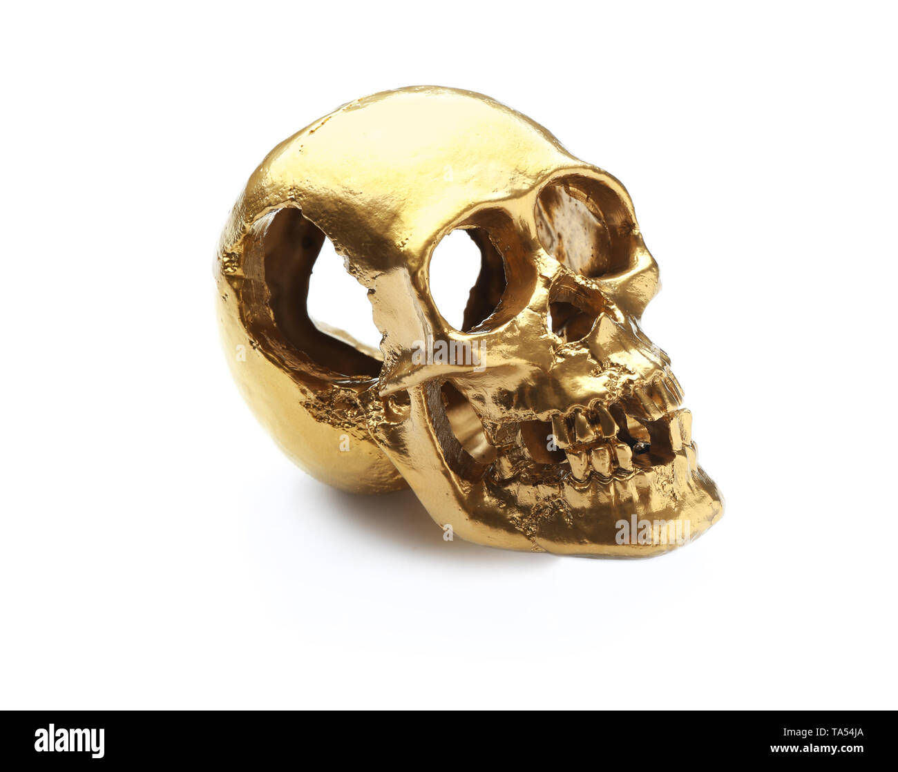 Golden human skull on white background Stock Photo