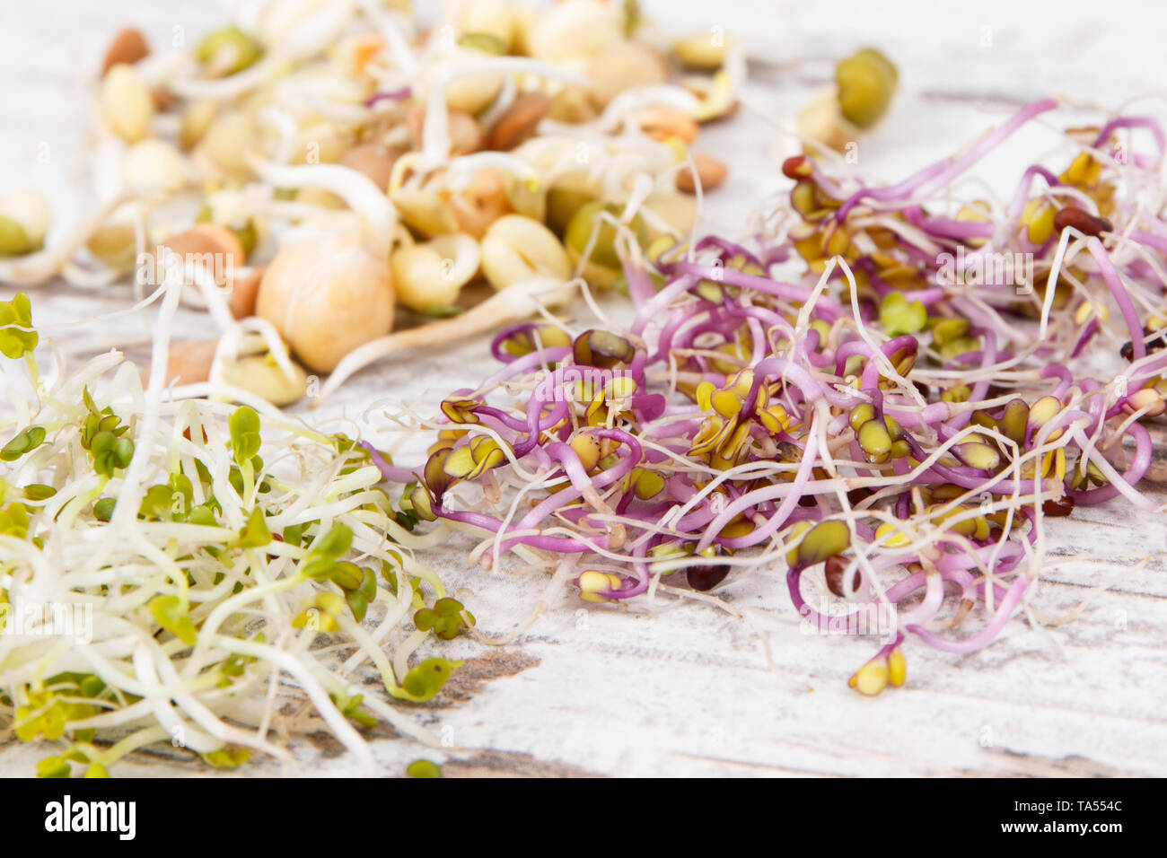 Different types of healthy sprouts containing natural vitamins and minerals Stock Photo