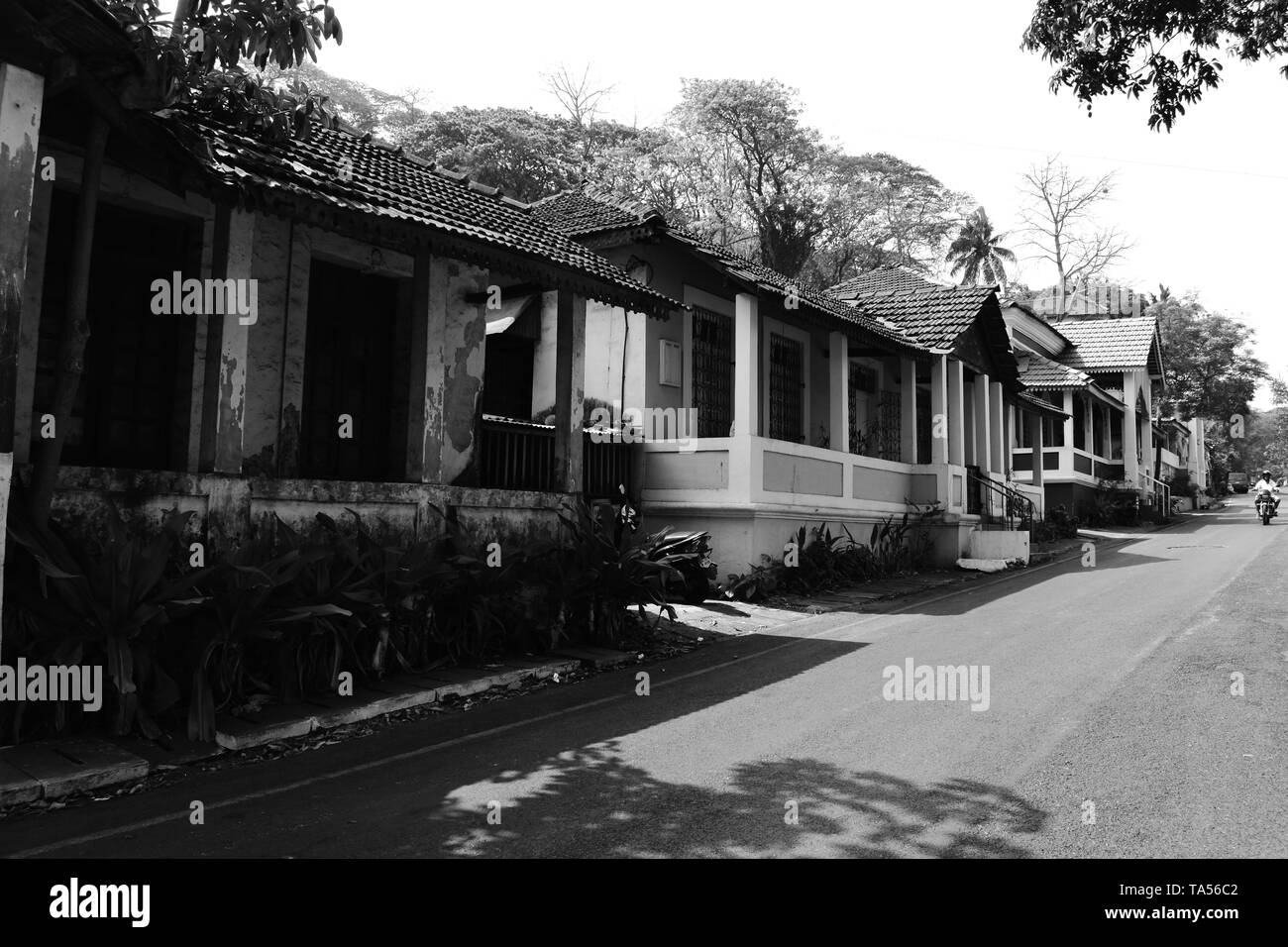 Houses on a street in Goa in black and white. Stock Photo