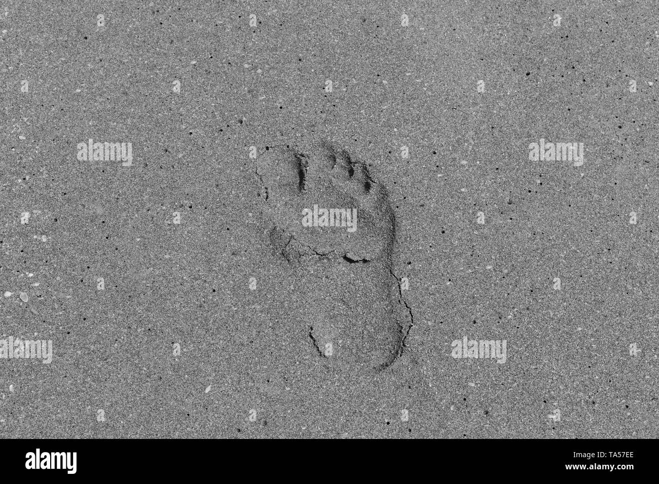 Footprint in the sand in black and white Stock Photo Alamy