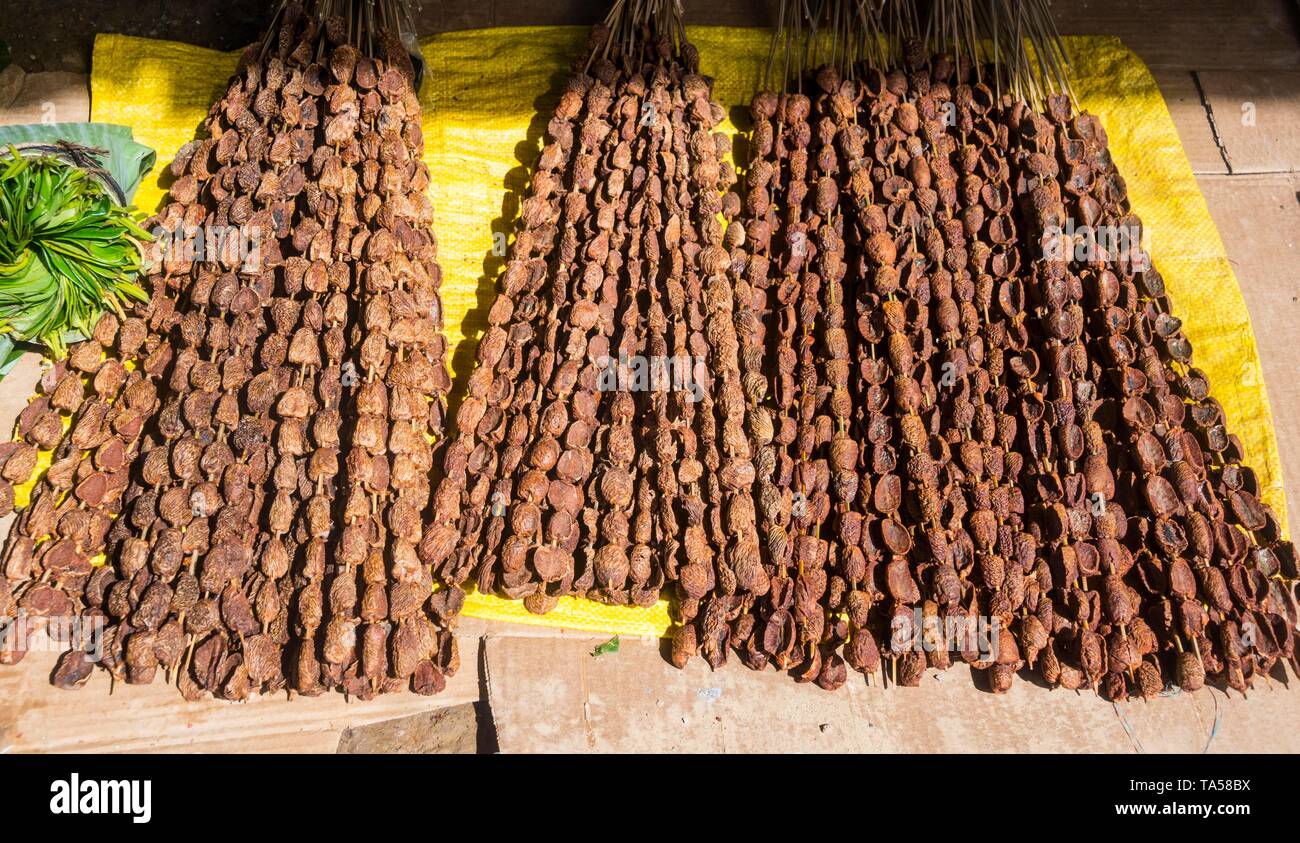 Betel nuts (Areca catechu) for sale in a market in Maubisse, East Timor