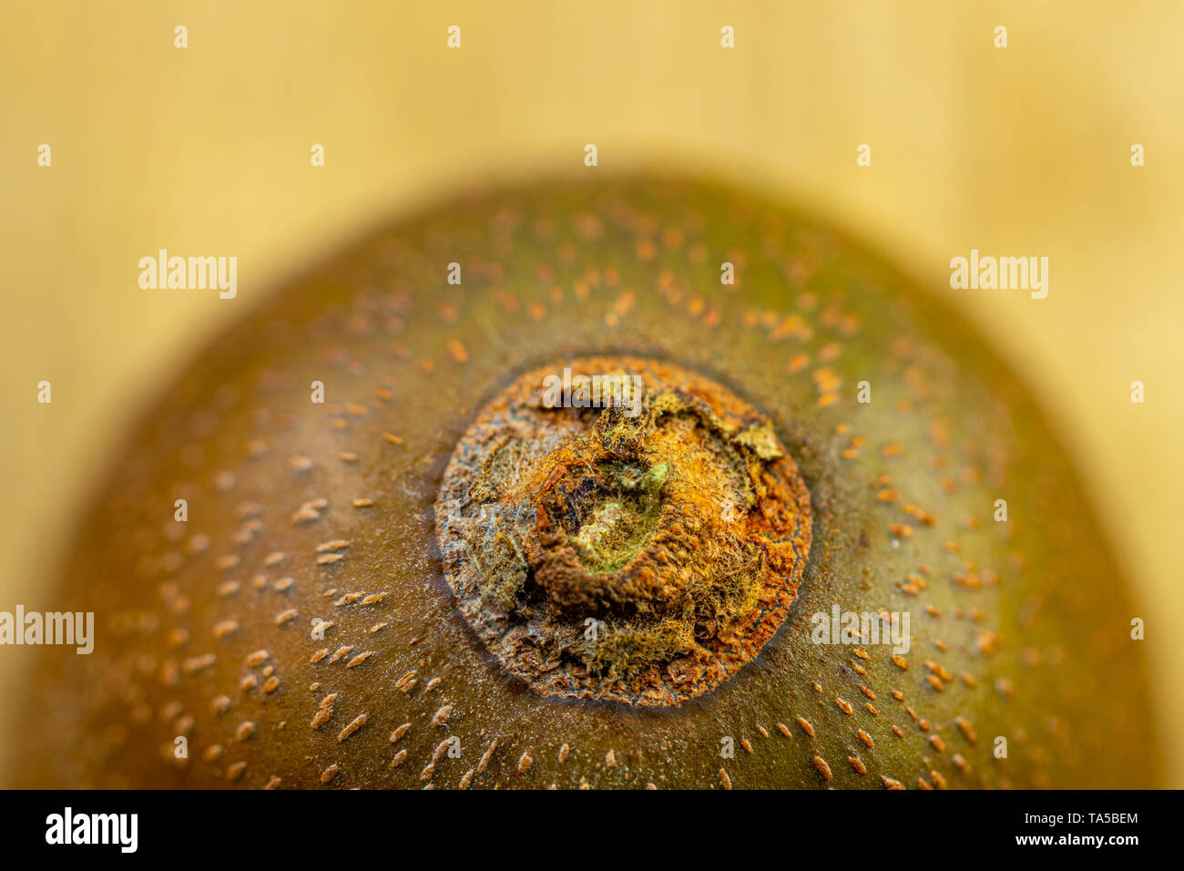 Gold skin hi-res stock photography and images - Alamy