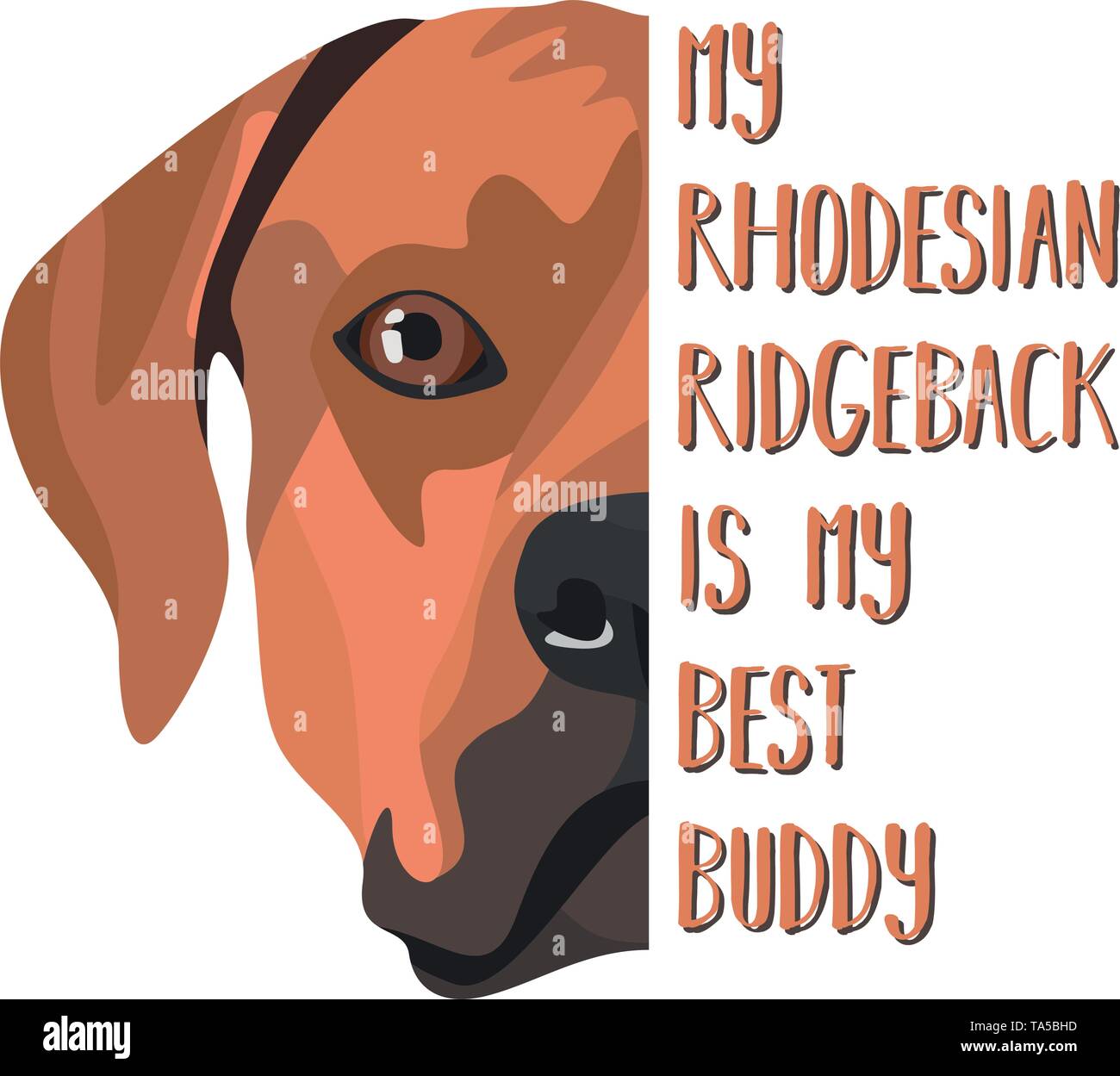 Illustration Dog Rhodesian Ridgeback My Rhodesian Ridgeback is