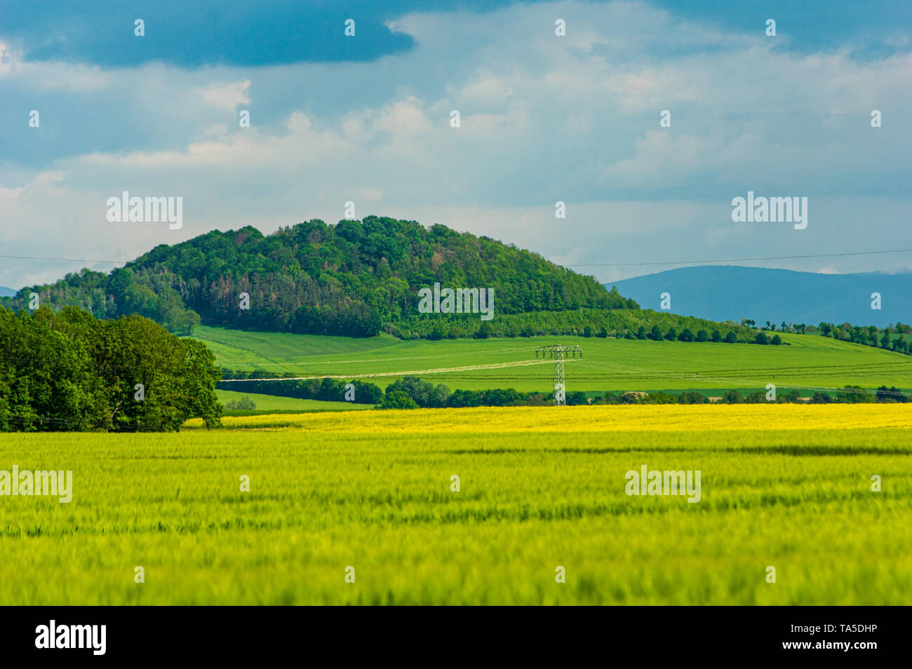 Knorr-Berg hill near Dittersbach a.d. Eigen as seen from Bernstadt a.d. Eigen on a cloudy day - May 21st 2019 Saxony/Germany Stock Photo