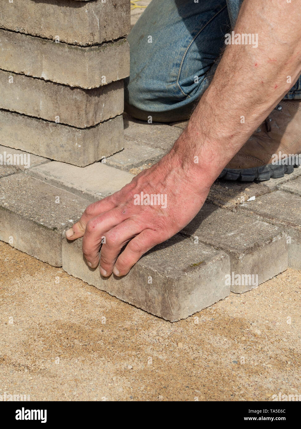 Laying gray concrete paving slabs in house courtyard driveway patio
